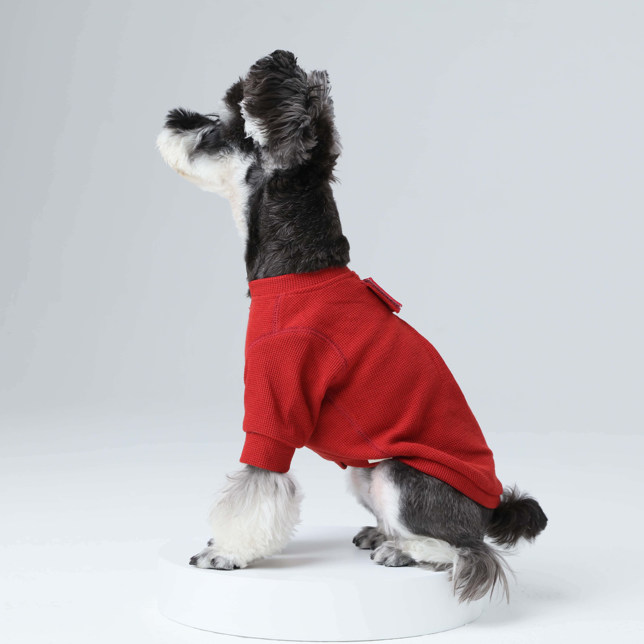 Embroidery Waffle T - Shirt-Red