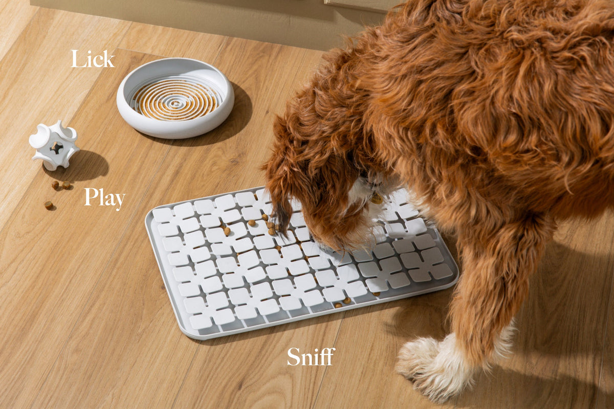 LAY LO Snuffle Mat - HT Animal Supply