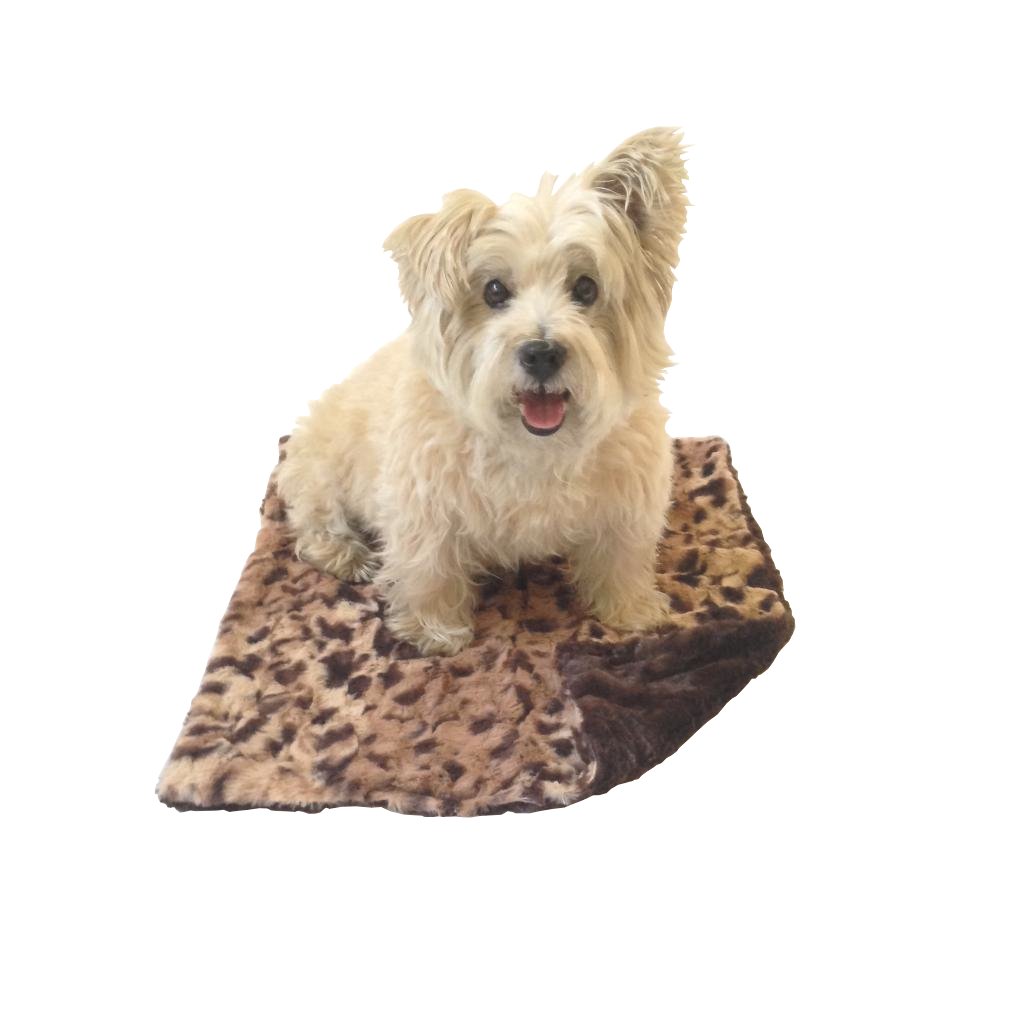 Blanket, Crushed Brown Leopard