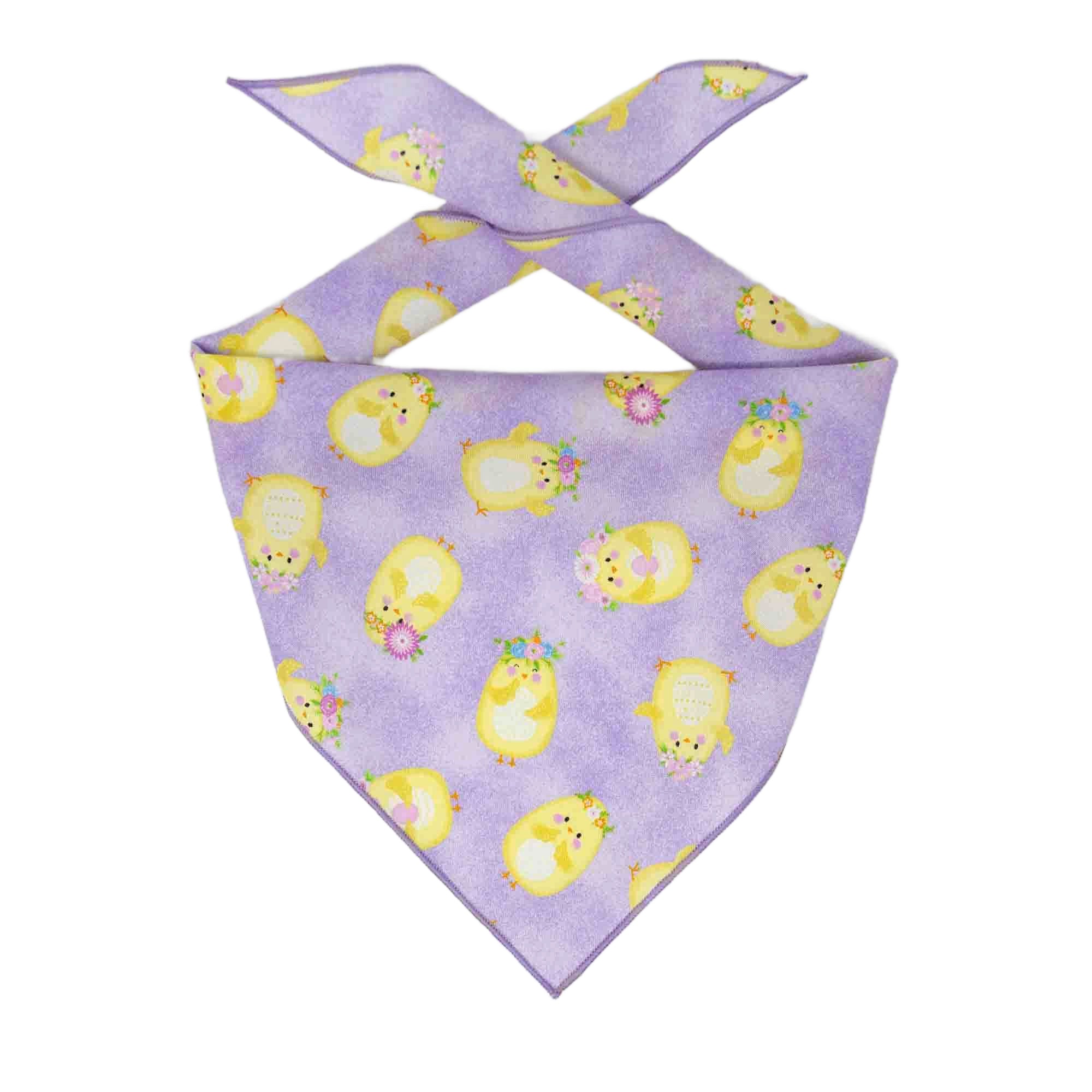 Cute Chicks Bandana