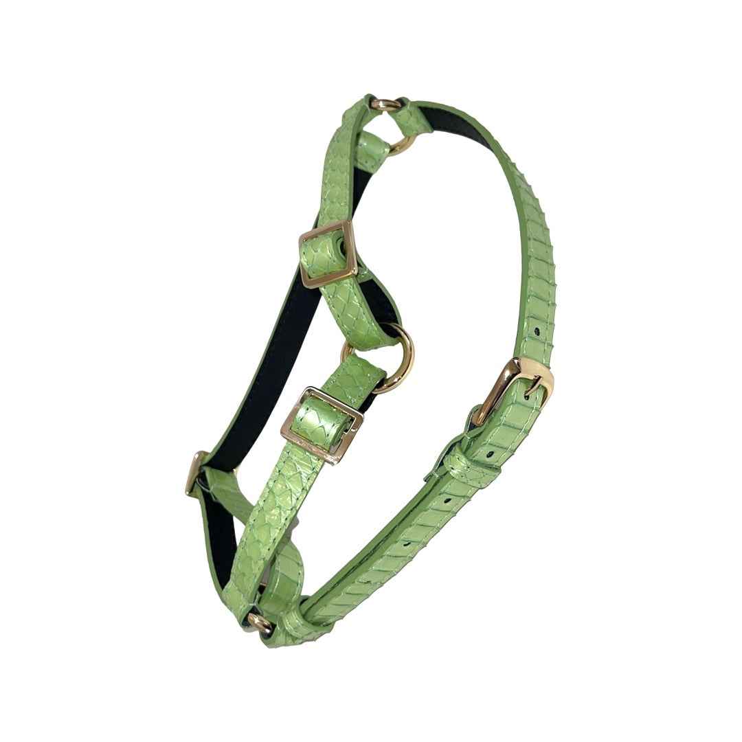 Allysa Payne Sea Anemone Pearl Green Snake Dog Harness
