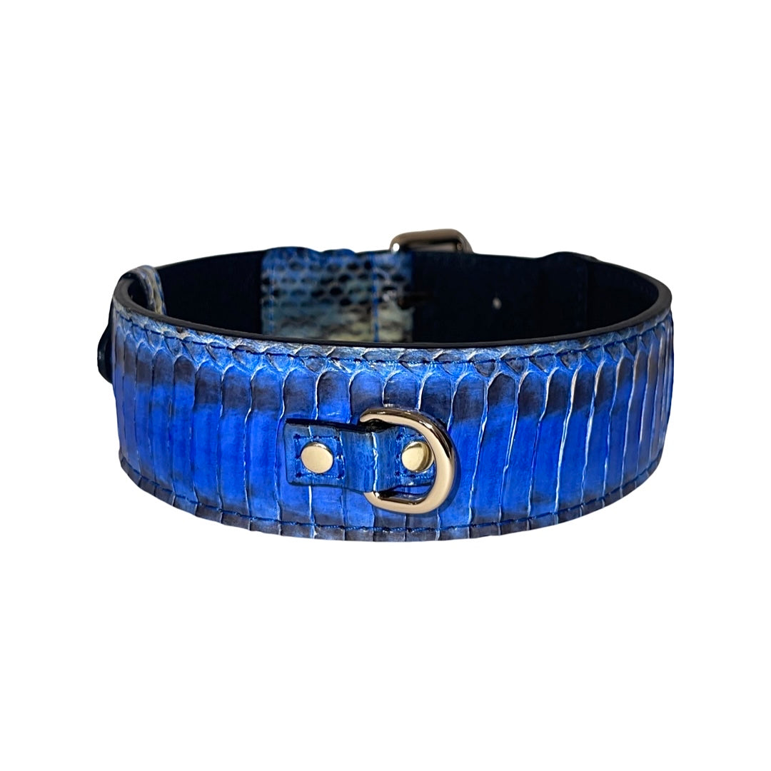 Allysa Payne Multi-Blue Tone Snake Classic Dog Collar