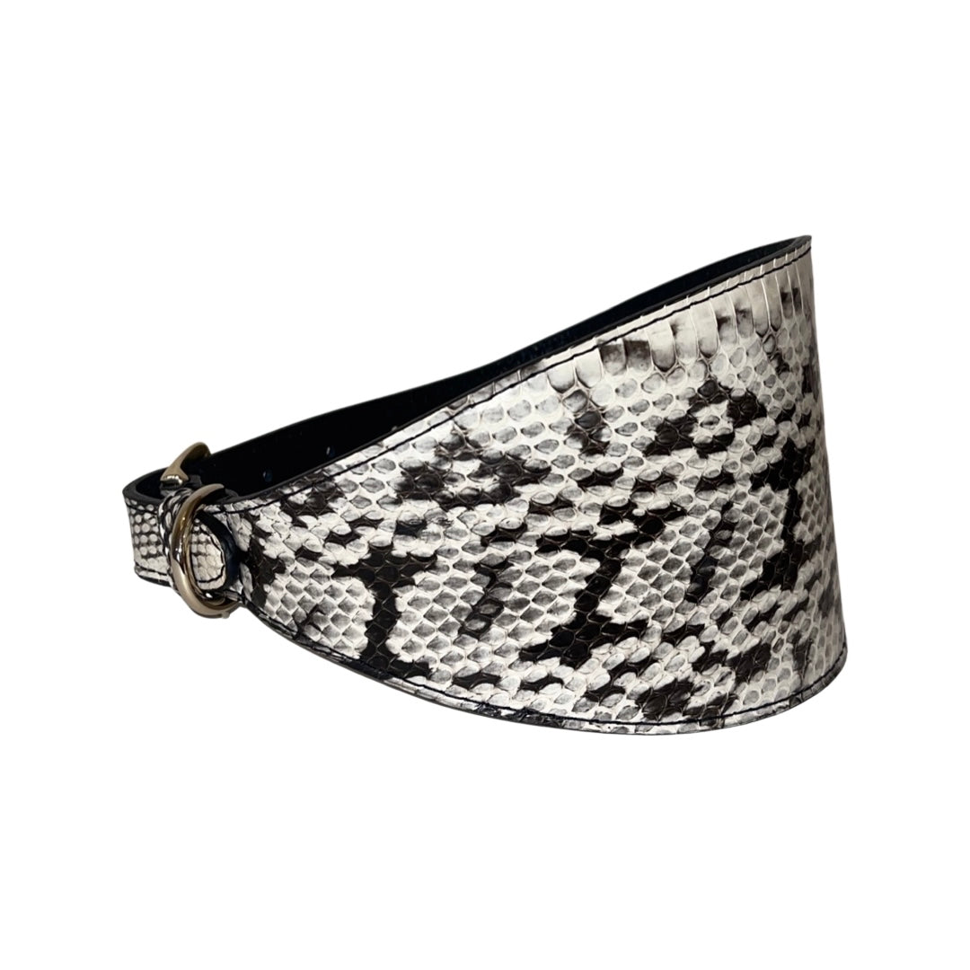 Allysa Payne White & Black 4-Inch Wide Snake Dog Collar