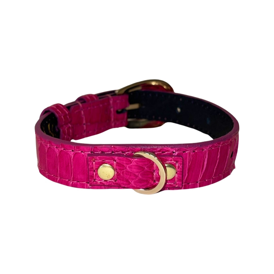 Allysa Payne XS Fuchsia Snake 7"-14" Dog Collar/Custom Gold Italian Hardware