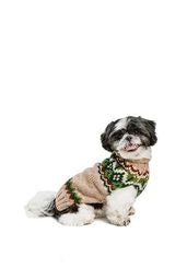 Ragg Wool Fair Isle Dog Sweater