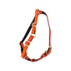 Allysa Payne Orange Snake Dog Harness