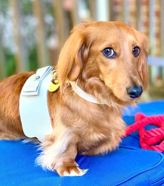 Harness - Hot Marine