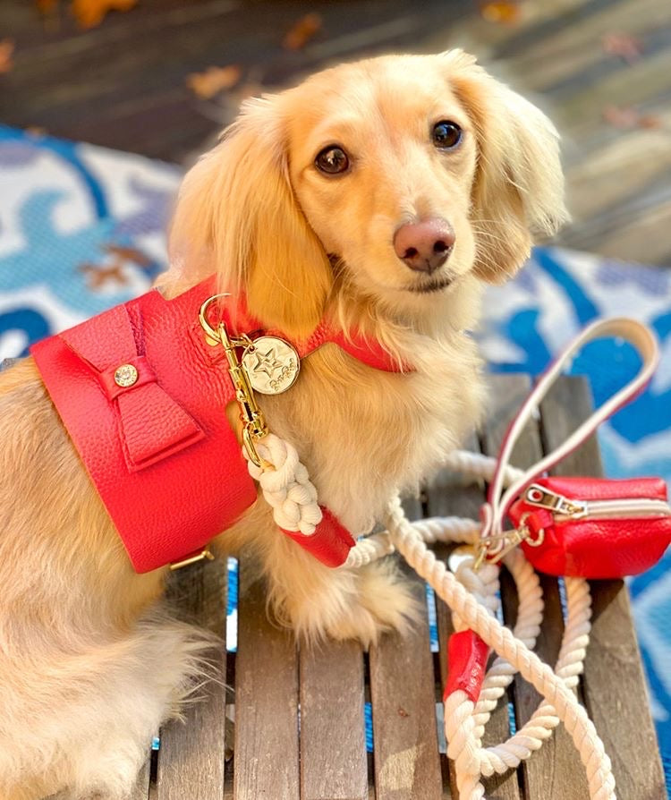 Harness - Melting Hearts