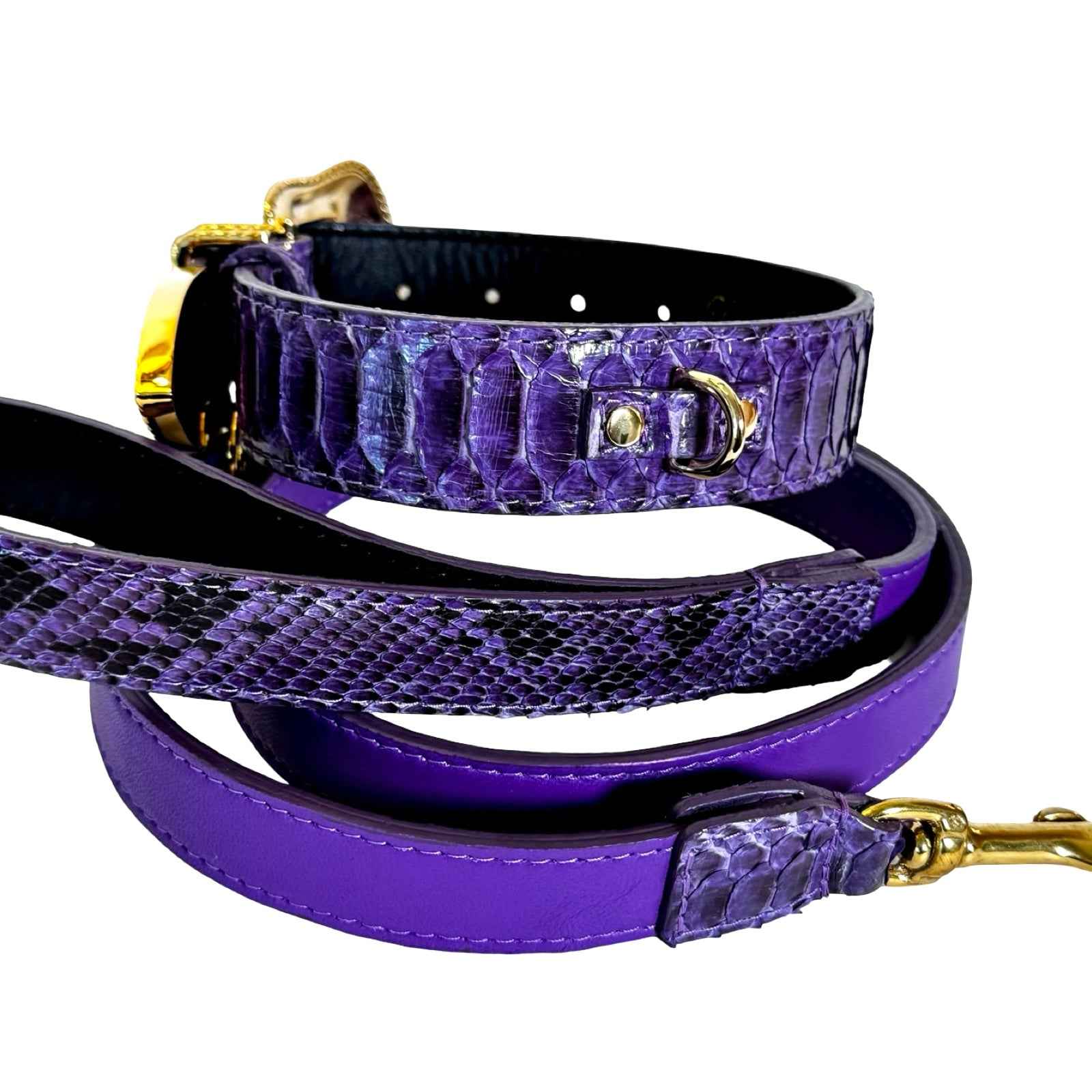Allysa Payne Amethyst Royale Python Set Dog Collar