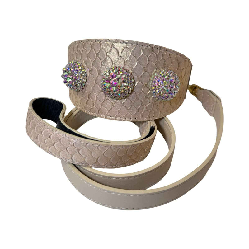 Allysa Payne Hollywood Glam Dog Collar & Leash Set