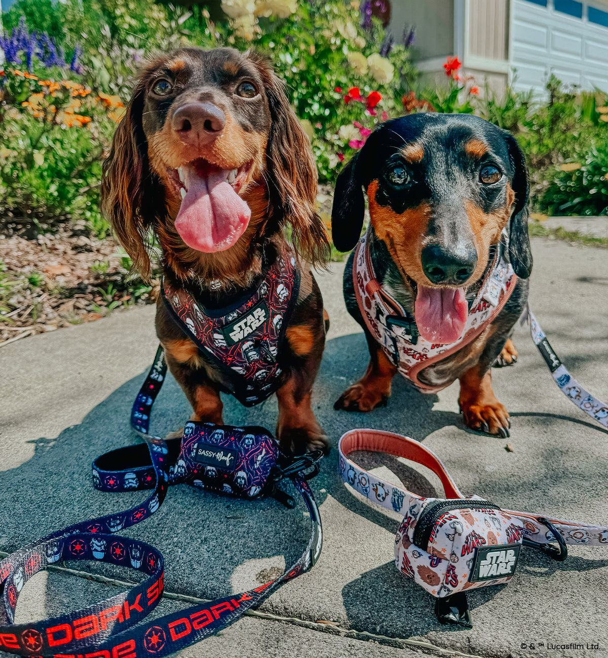 Dog Leash - STAR WARS™ The Dark Side