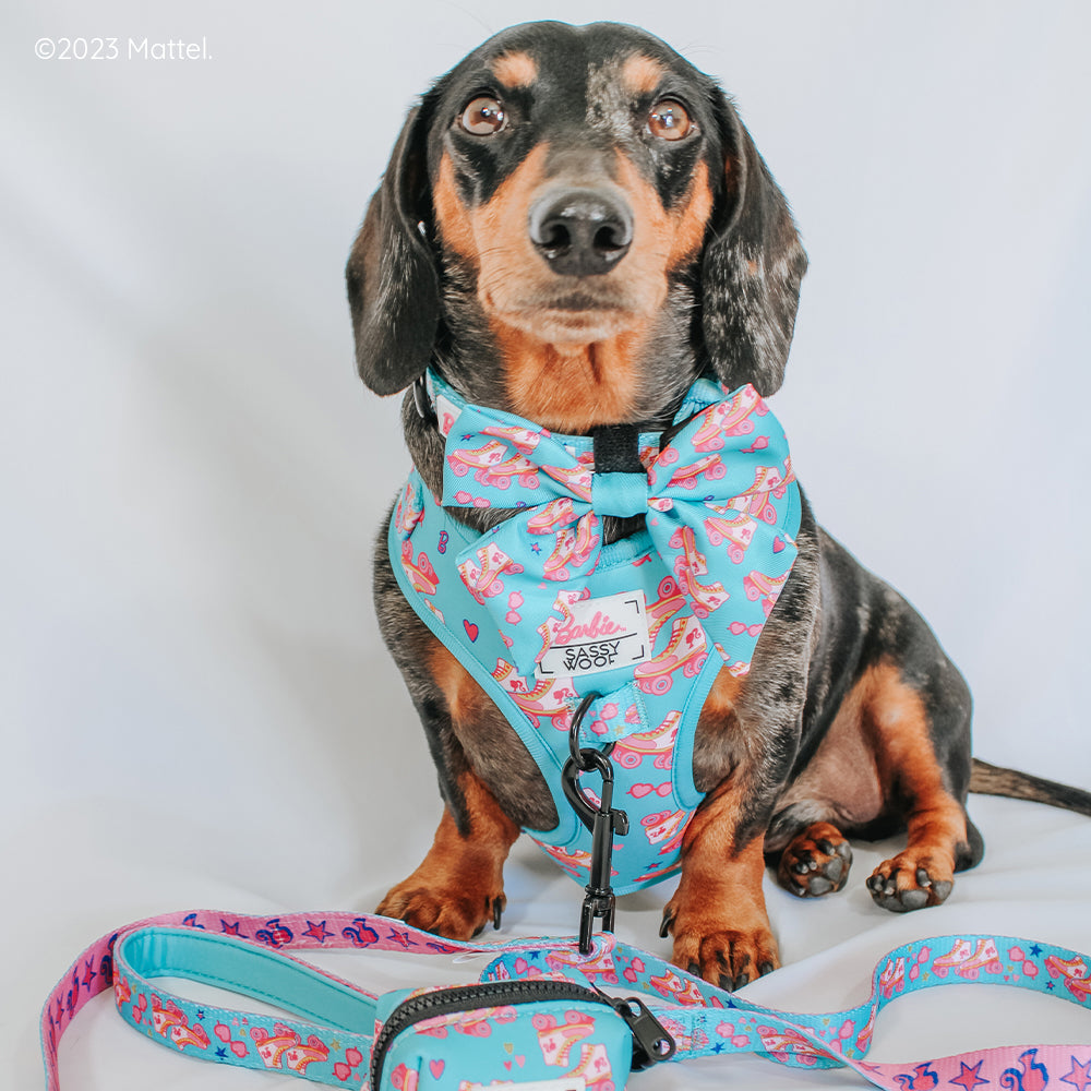 Dog Adjustable Harness - BARBIE™ On a Roll