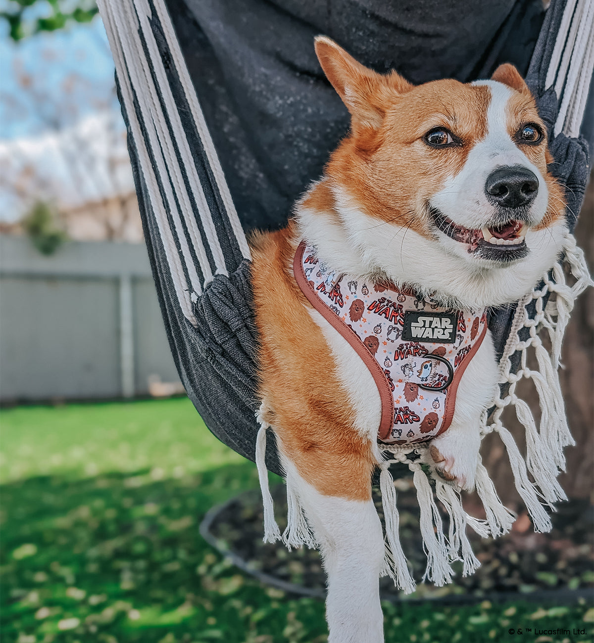 Dog Adjustable Harness - STAR WARS™ The Rebel Alliance
