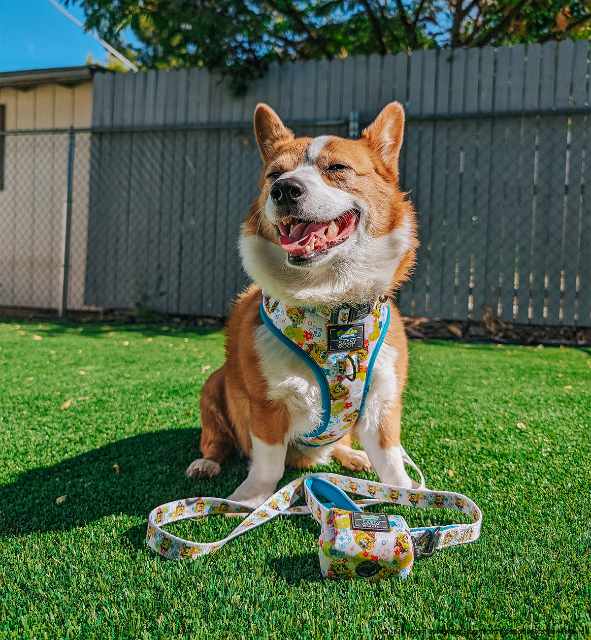 Dog Adjustable Harness - SpongeBob SquarePants™ Bikini Bottom