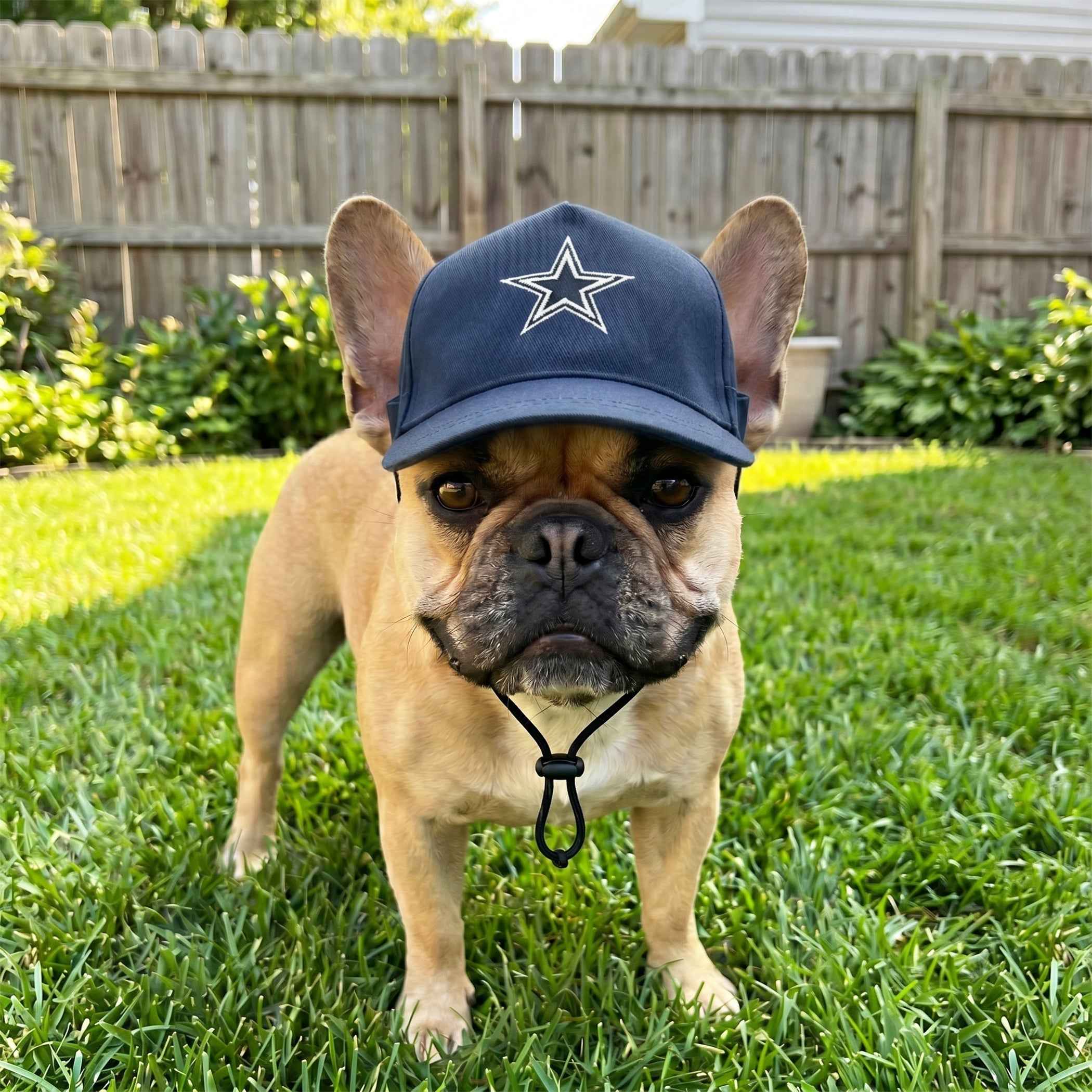 NFL Dallas Cowboys Dog Hat