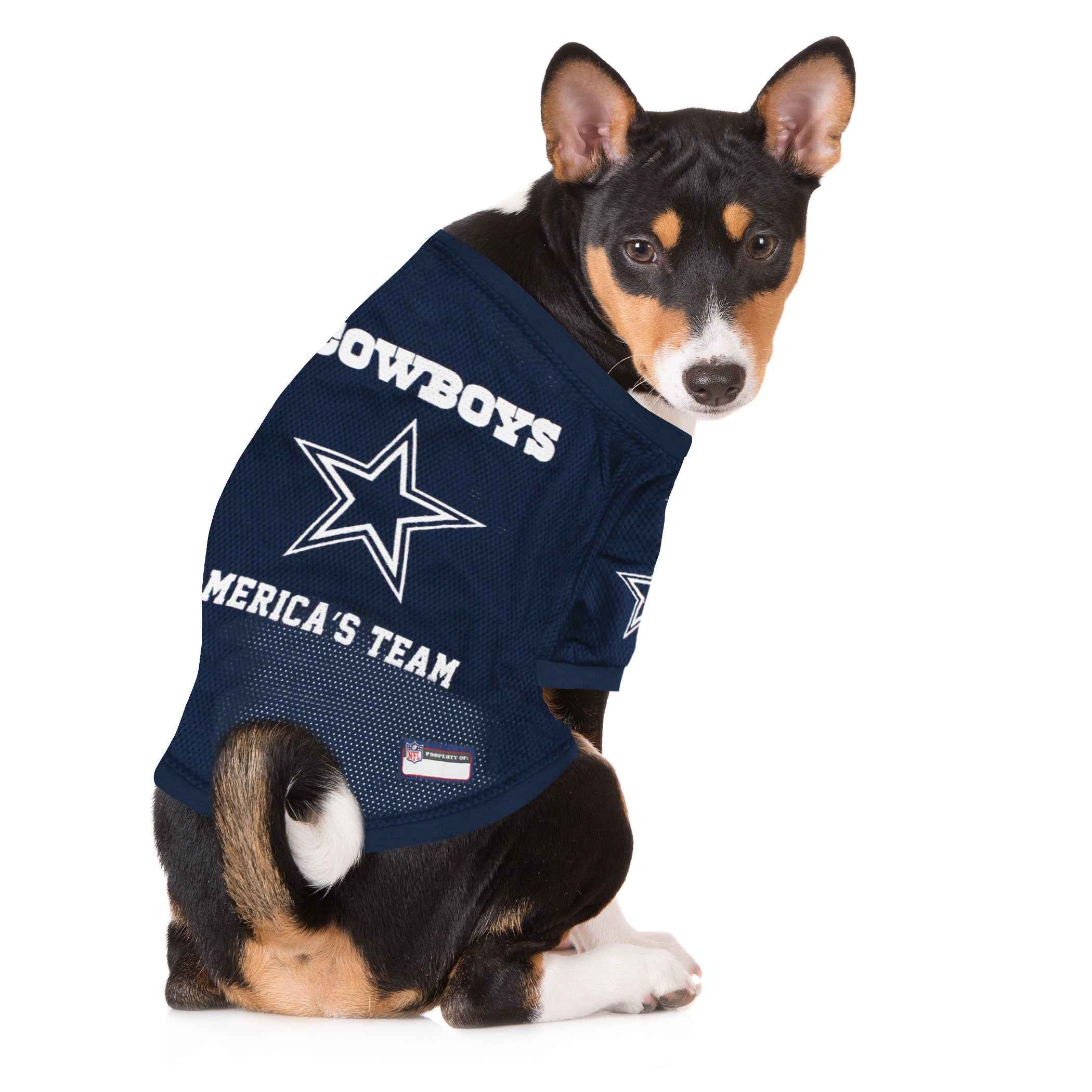 Dallas Cowboys Raglan Jersey