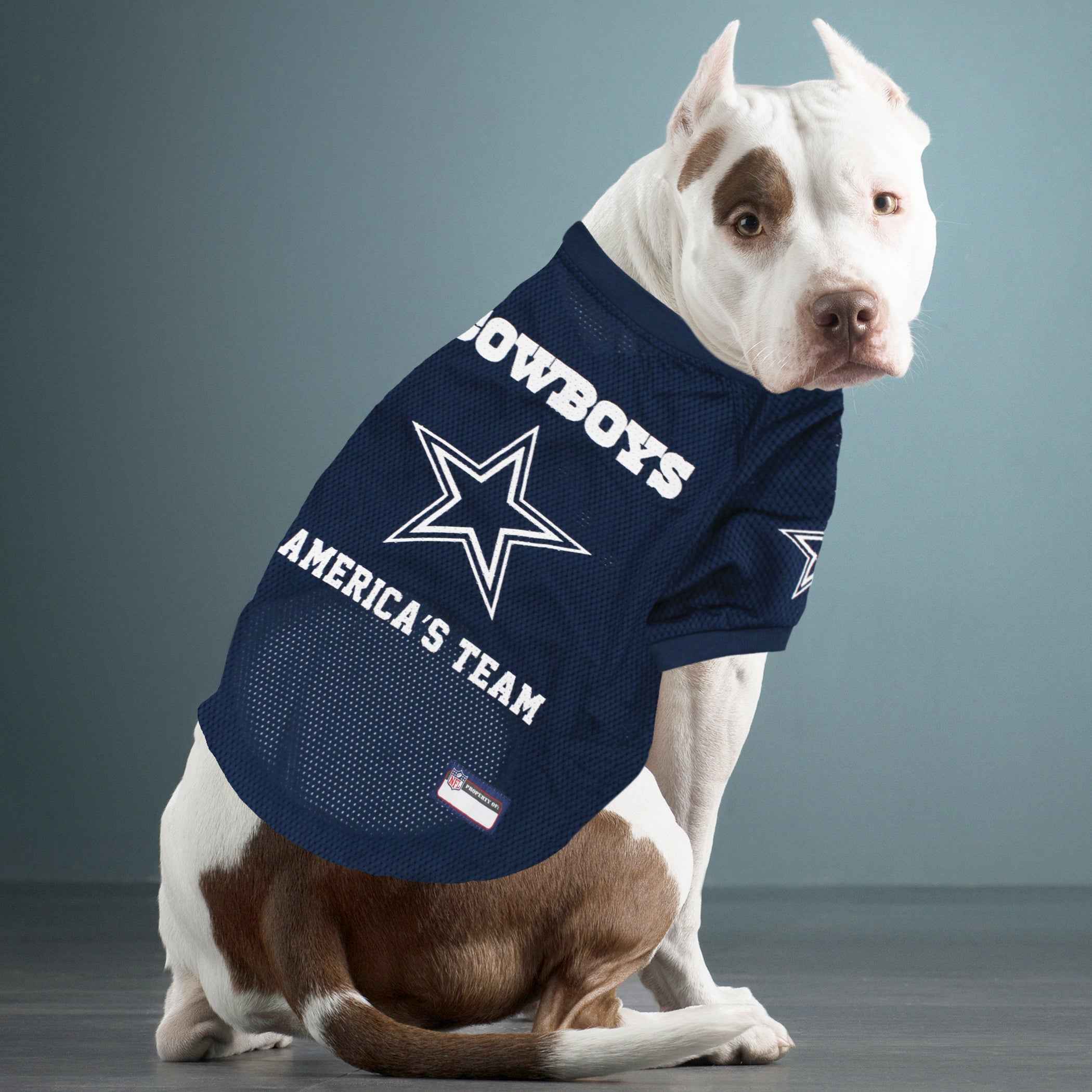 Dallas Cowboys Raglan Jersey