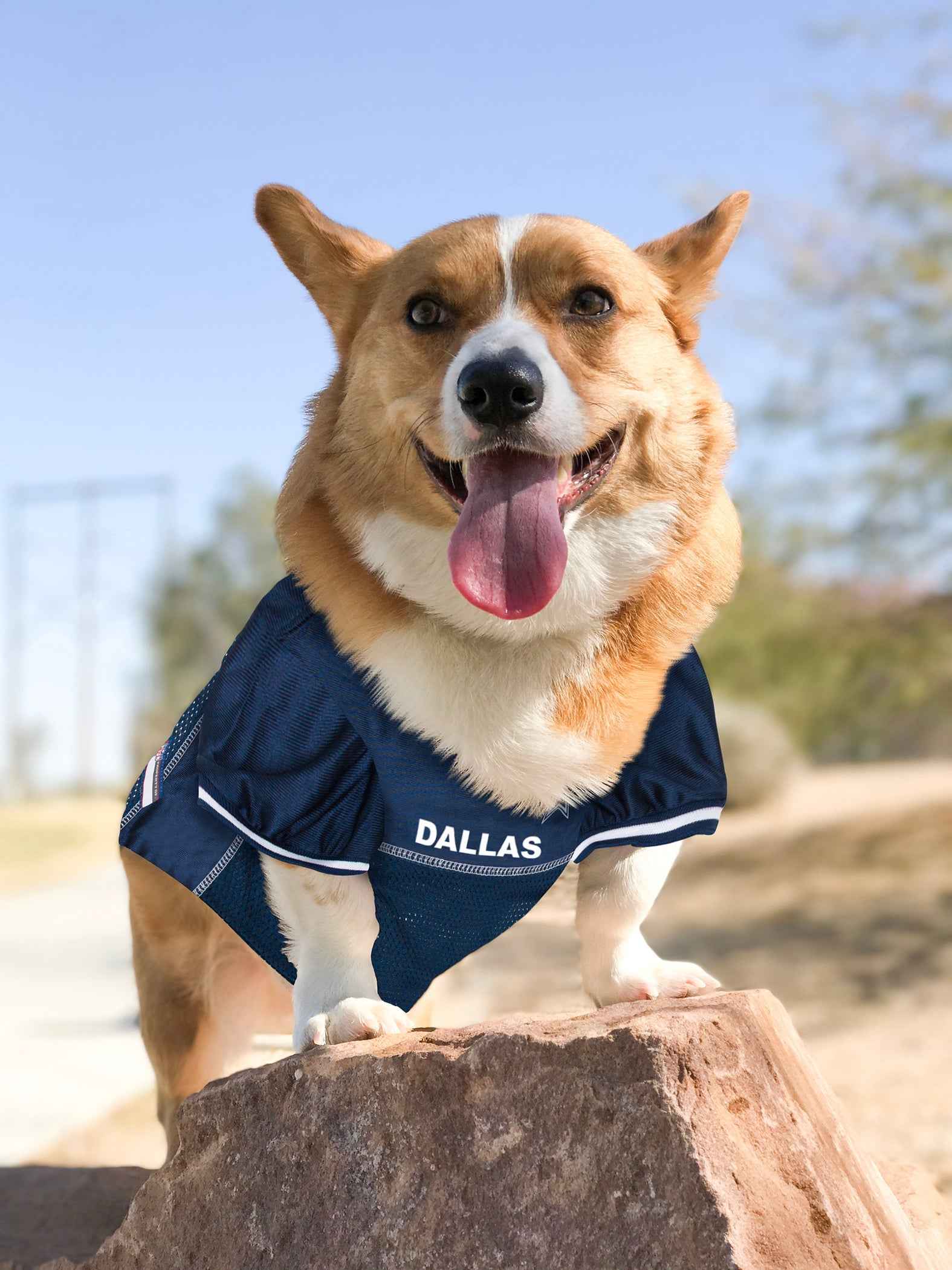NFL Dallas Cowboys Mesh Pet Jersey - 3X-Large