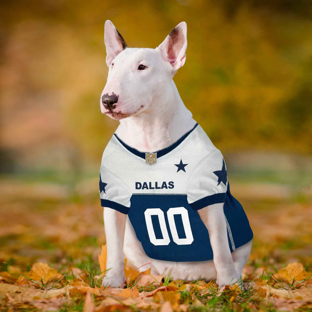NFL Dallas Cowboys Throwback Pet Jersey