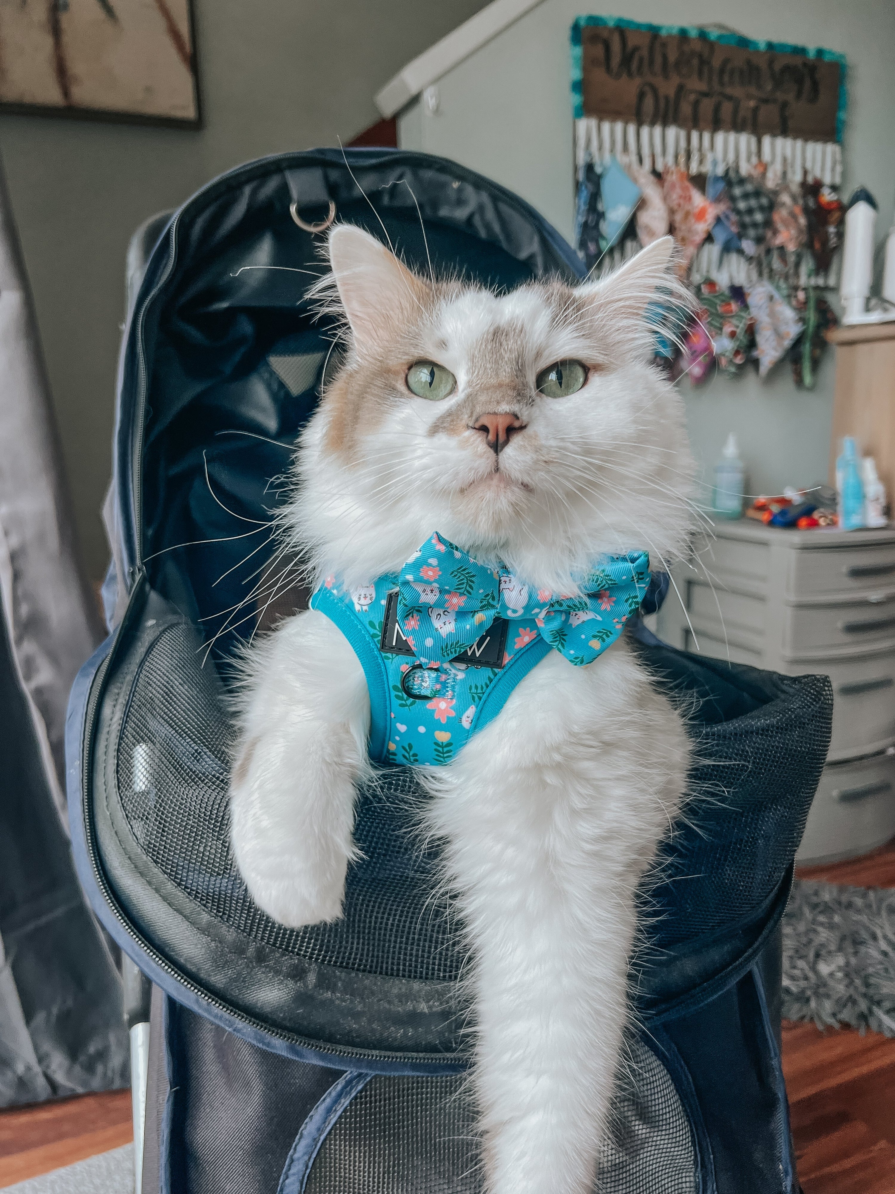 Cat Step-In Harness - Purrs & Petals