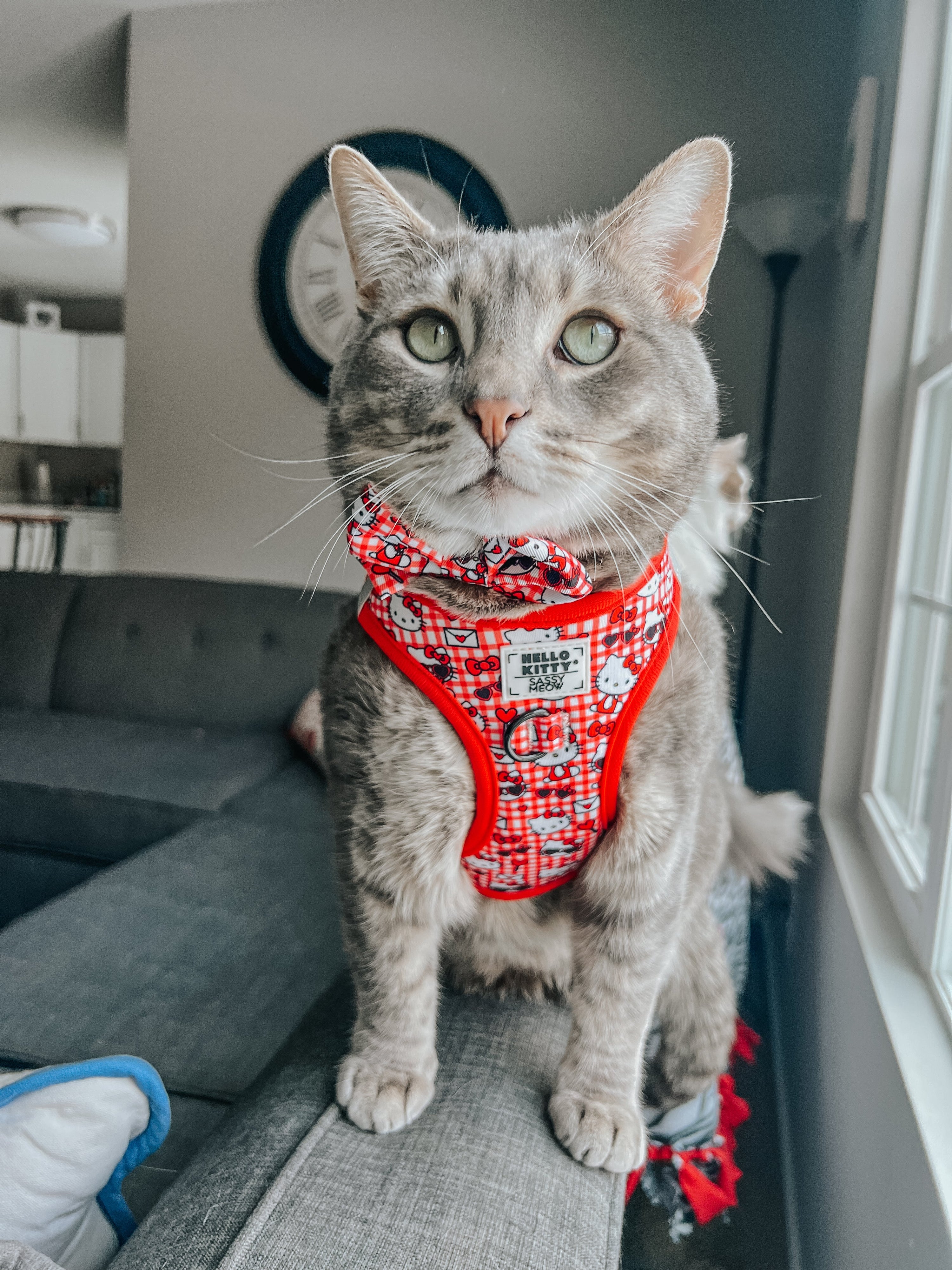 Cat Bowtie - Hello Kitty® Red Classic