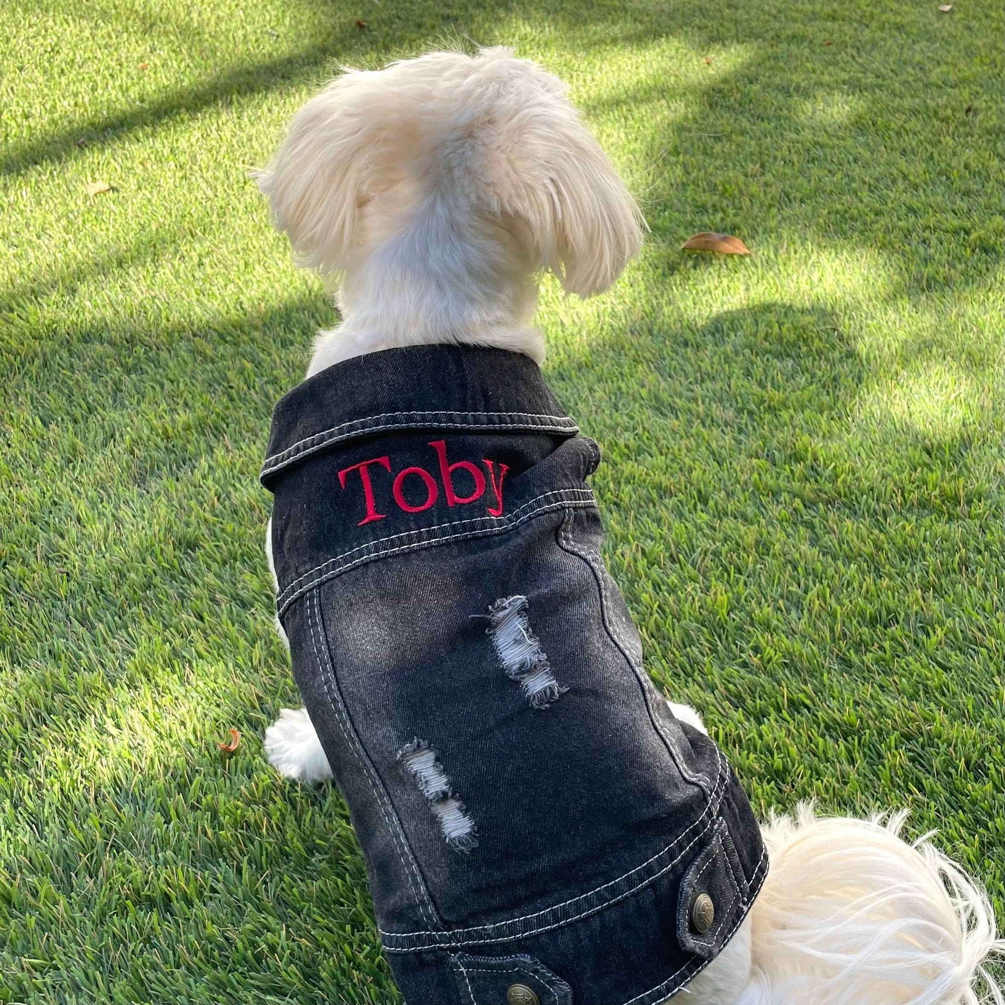 Heads or Tails Pup Personalized Denim Dog Vest