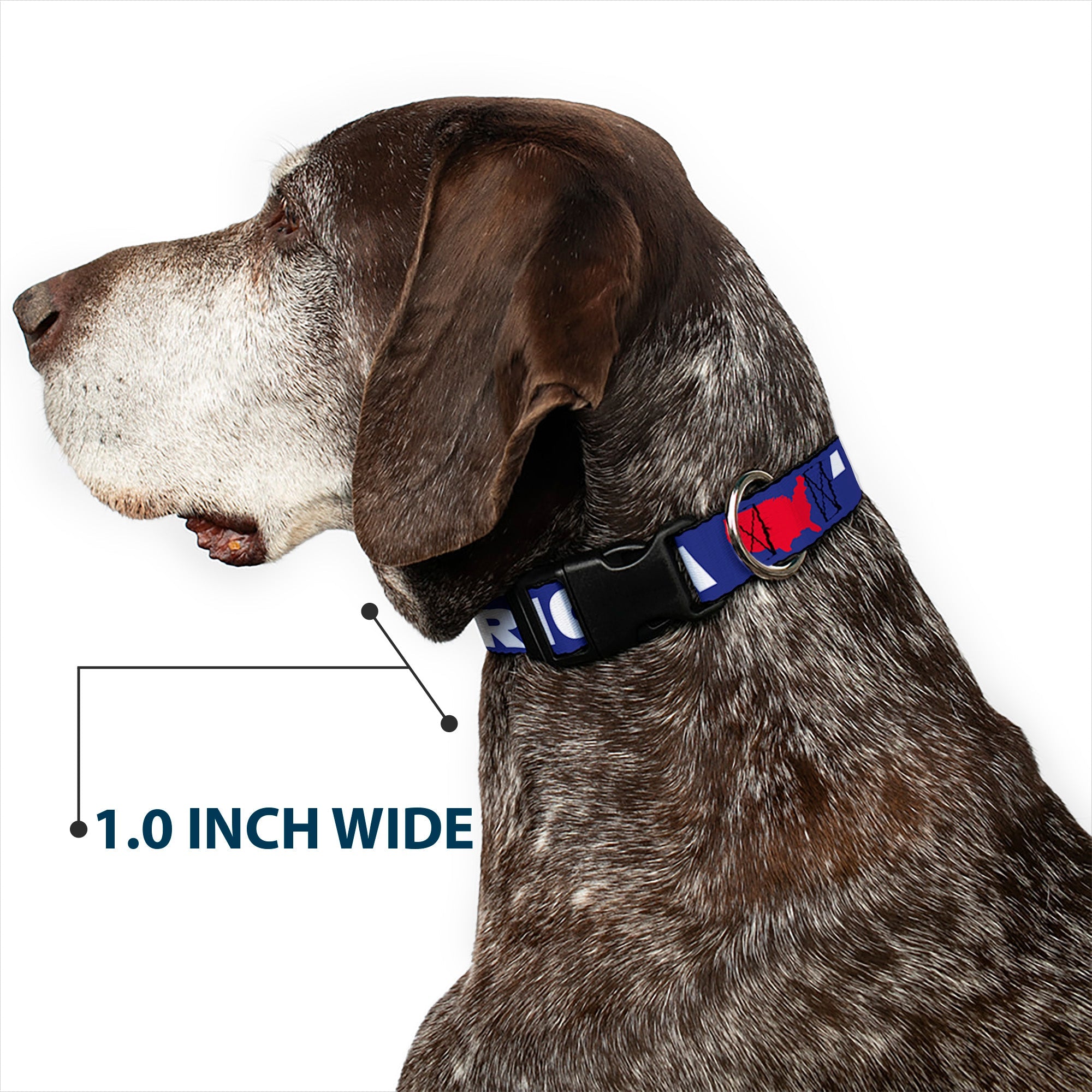 Plastic Clip Collar - 'MERICA/USA Silhouette Blue/White/Red