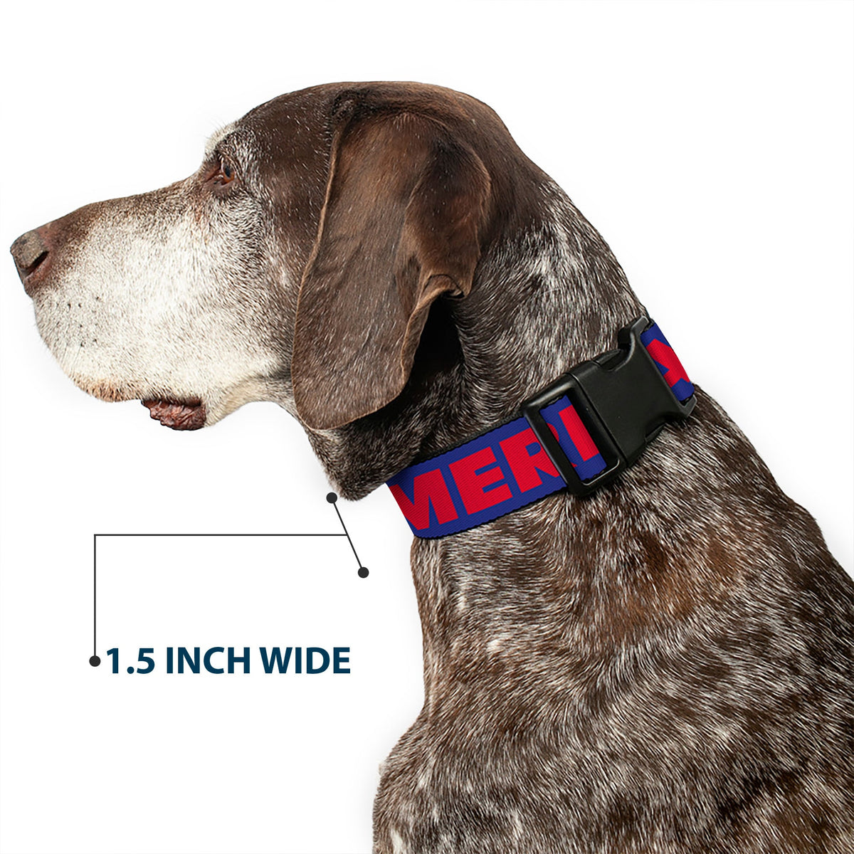 Plastic Clip Collar - MERICA/USA Silhouette Blue/Red | HT Animal Supply