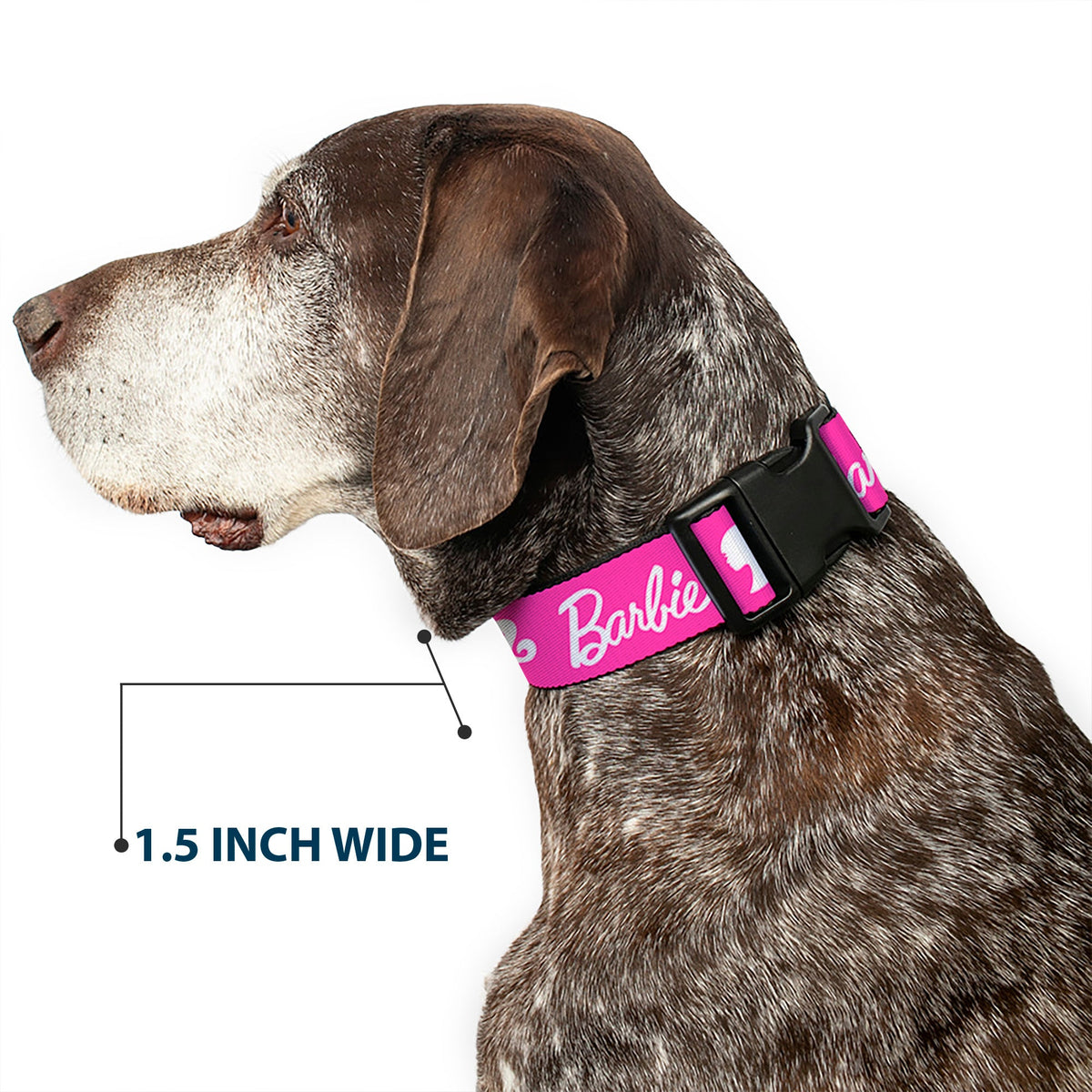 Plastic Clip Collar - BARBIE Script Signature Logo and Silhouette Hot Pink/White | HT Animal Supply