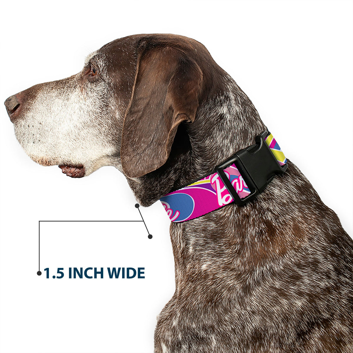Plastic Clip Collar - BARBIE Script Signature Logo Abstract Multi Color/White | HT Animal Supply