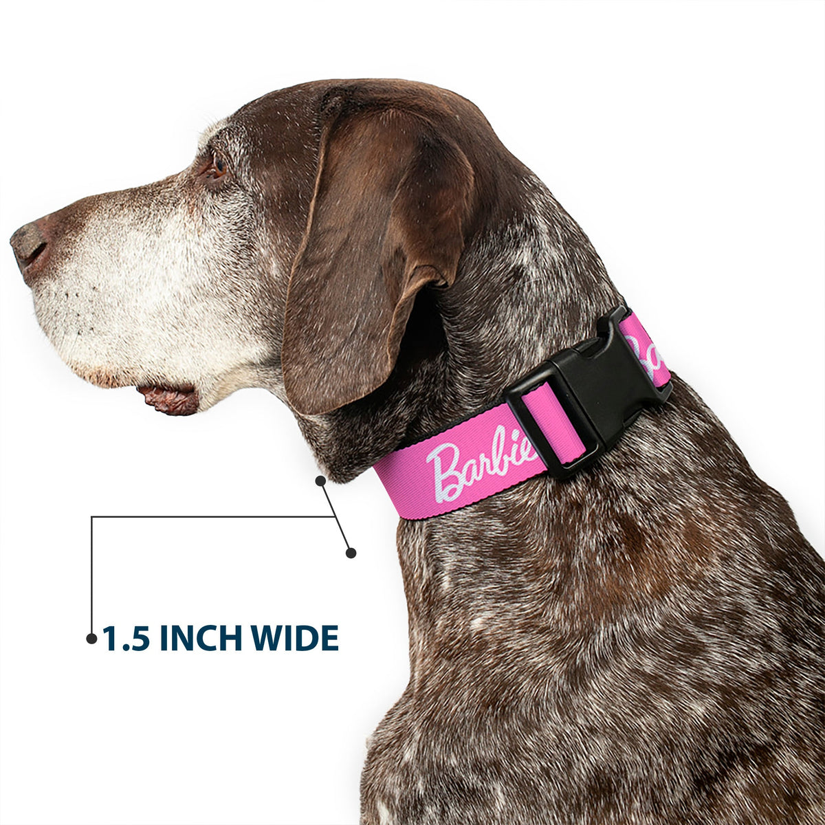 Plastic Clip Collar - BARBIE Script Signature Logo Pink/White | HT Animal Supply