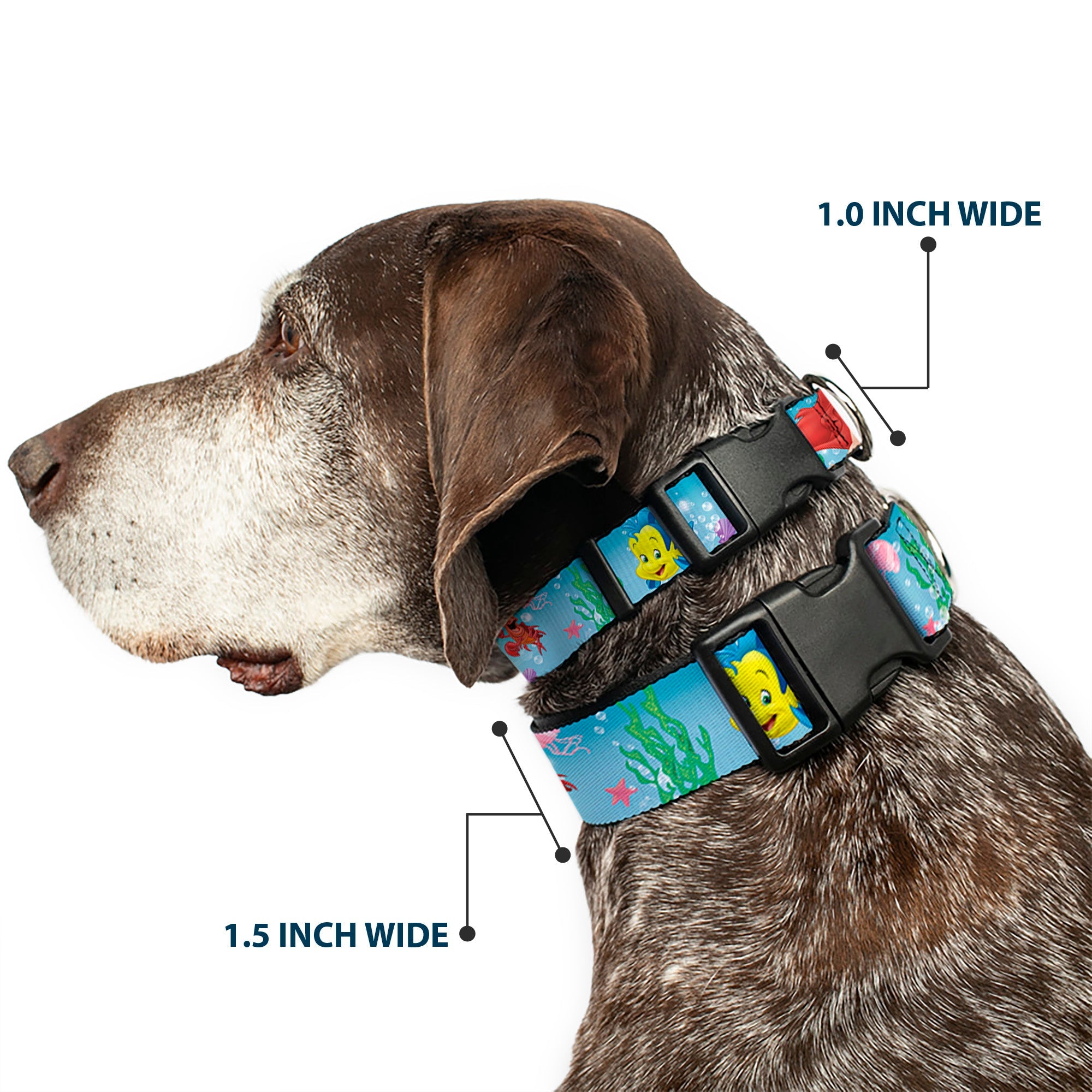 Plastic Clip Collar - Ariel, Sebastian & Flounder Scene2