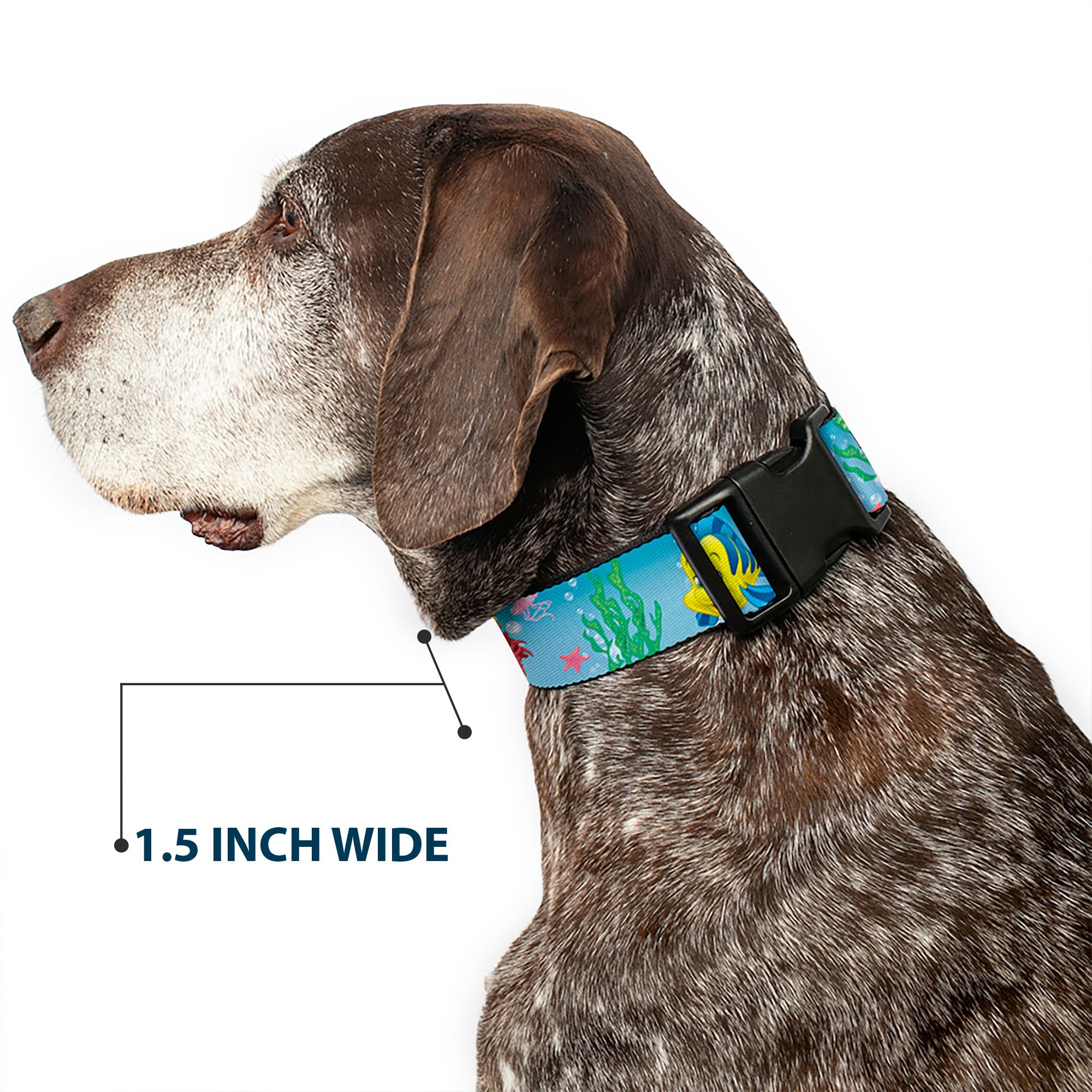 Plastic Clip Collar - Ariel, Sebastian & Flounder Scene2