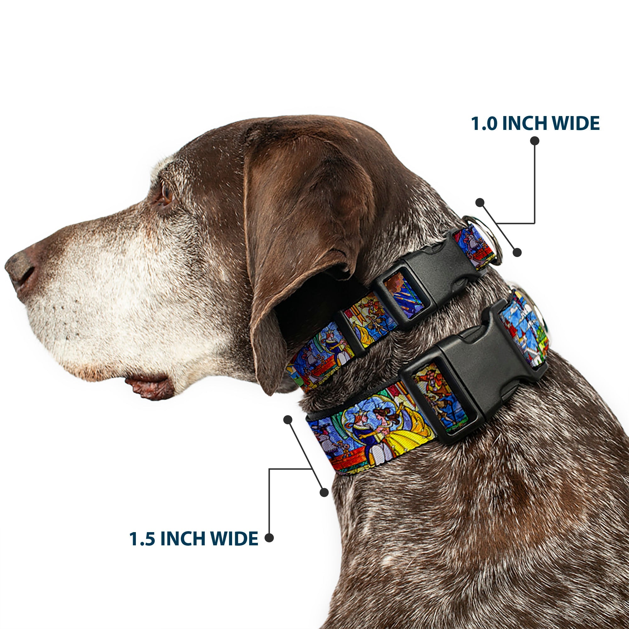 Plastic Clip Collar - Beauty & the Beast Stained Glass Scenes