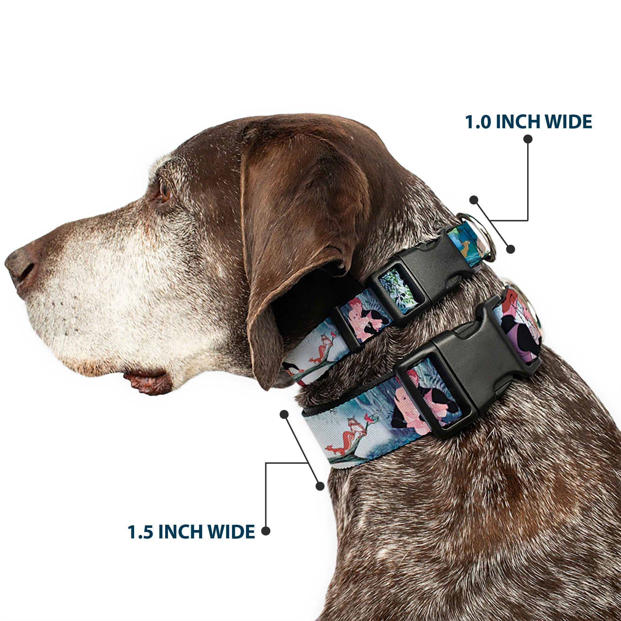 Plastic Clip Collar - Sleeping Beauty Woods Scenes