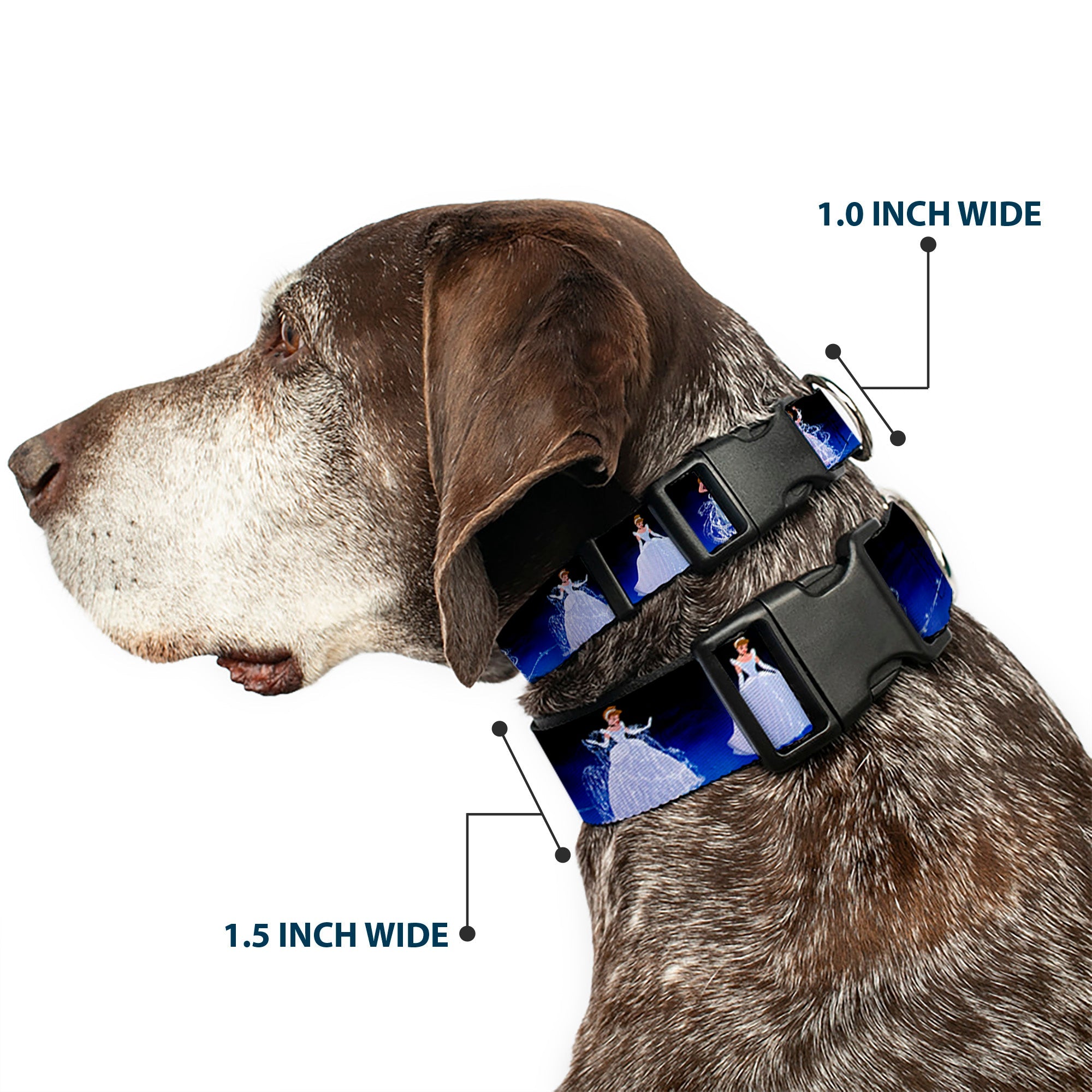 Plastic Clip Collar - Cinderella Transformation Blue Fade