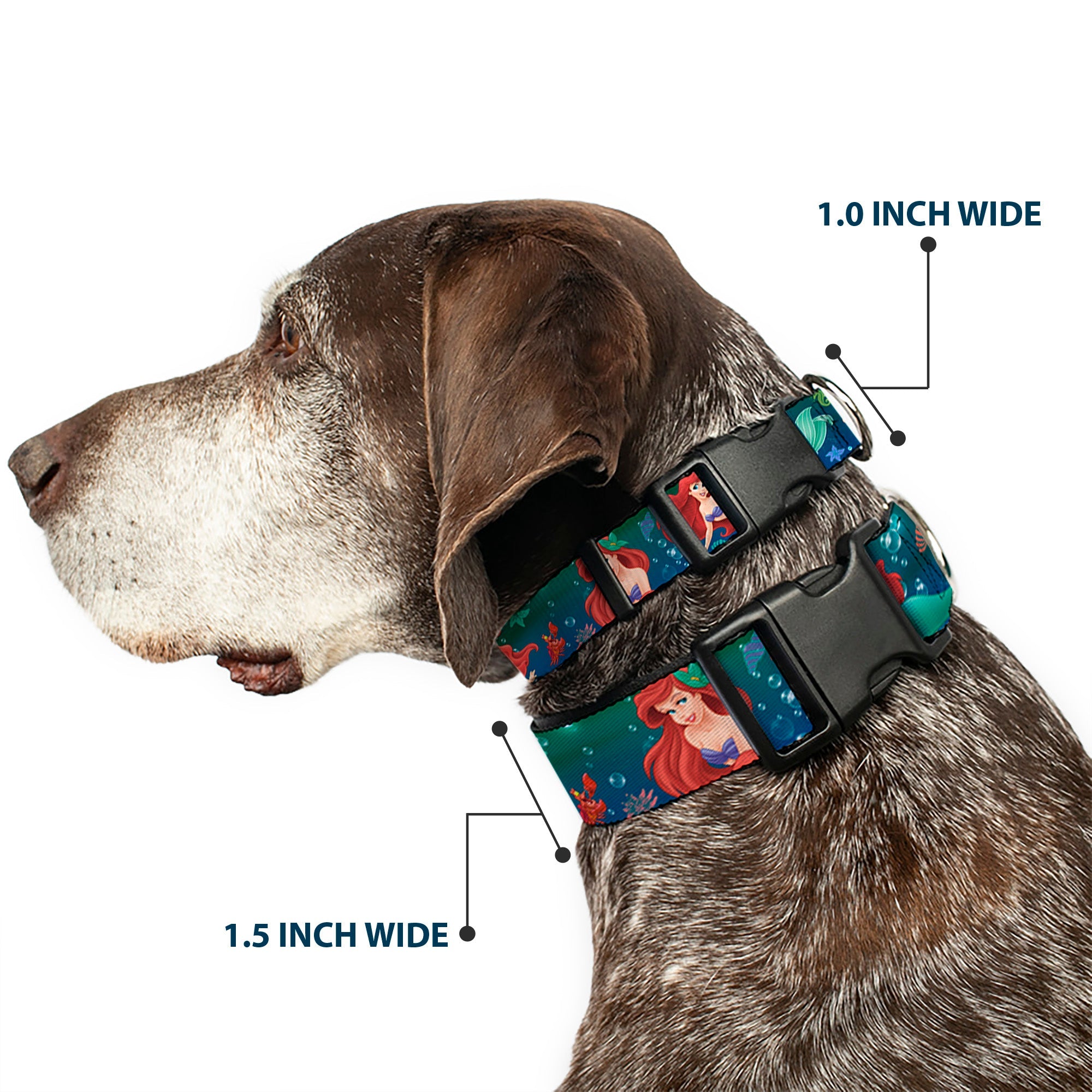Plastic Clip Collar - Ariel Poses w/Flounder Green/Blue Fade
