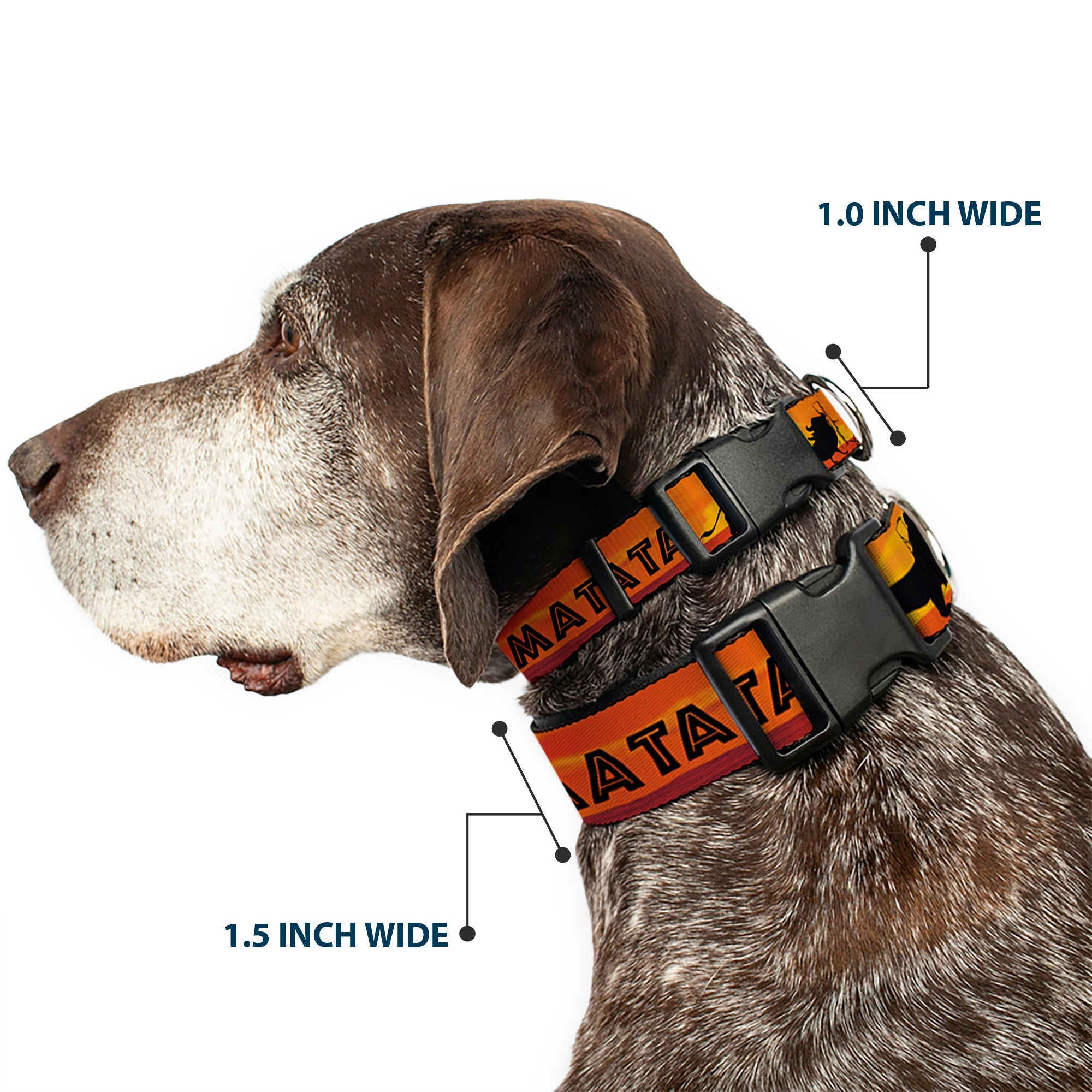 Plastic Clip Collar - Lion King HAKUNA MATATA Sunset Oranges/Black
