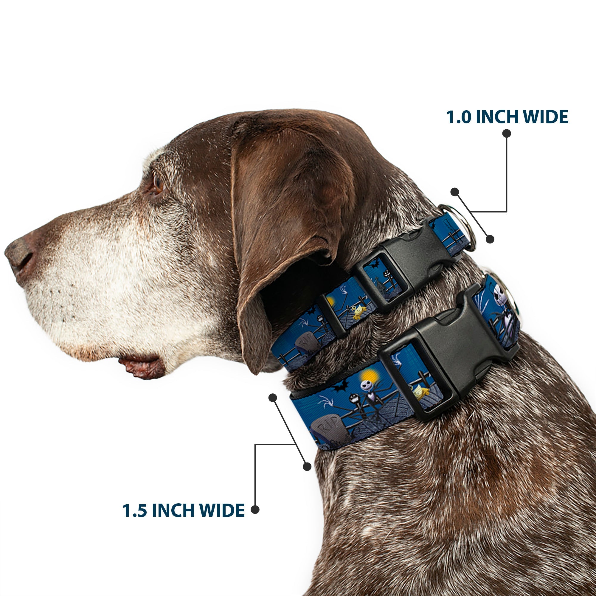 Plastic Clip Collar - Nightmare Before Christmas Jack, Zombie Duck & Zero Cemetery Scene