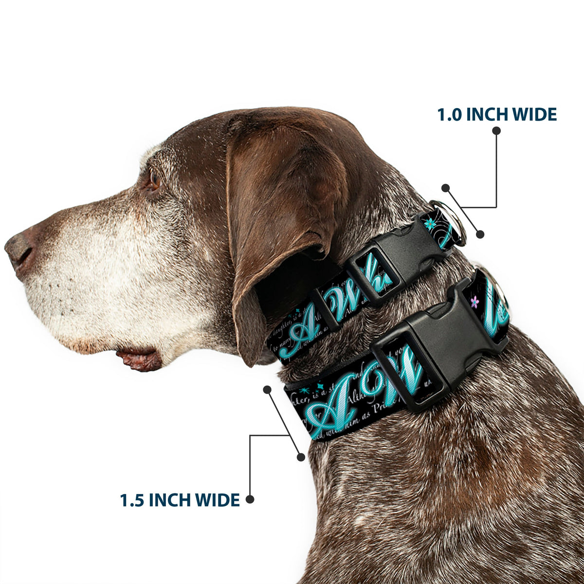 Plastic Clip Collar - Aladdin A WHOLE NEW WORLD/Story Script