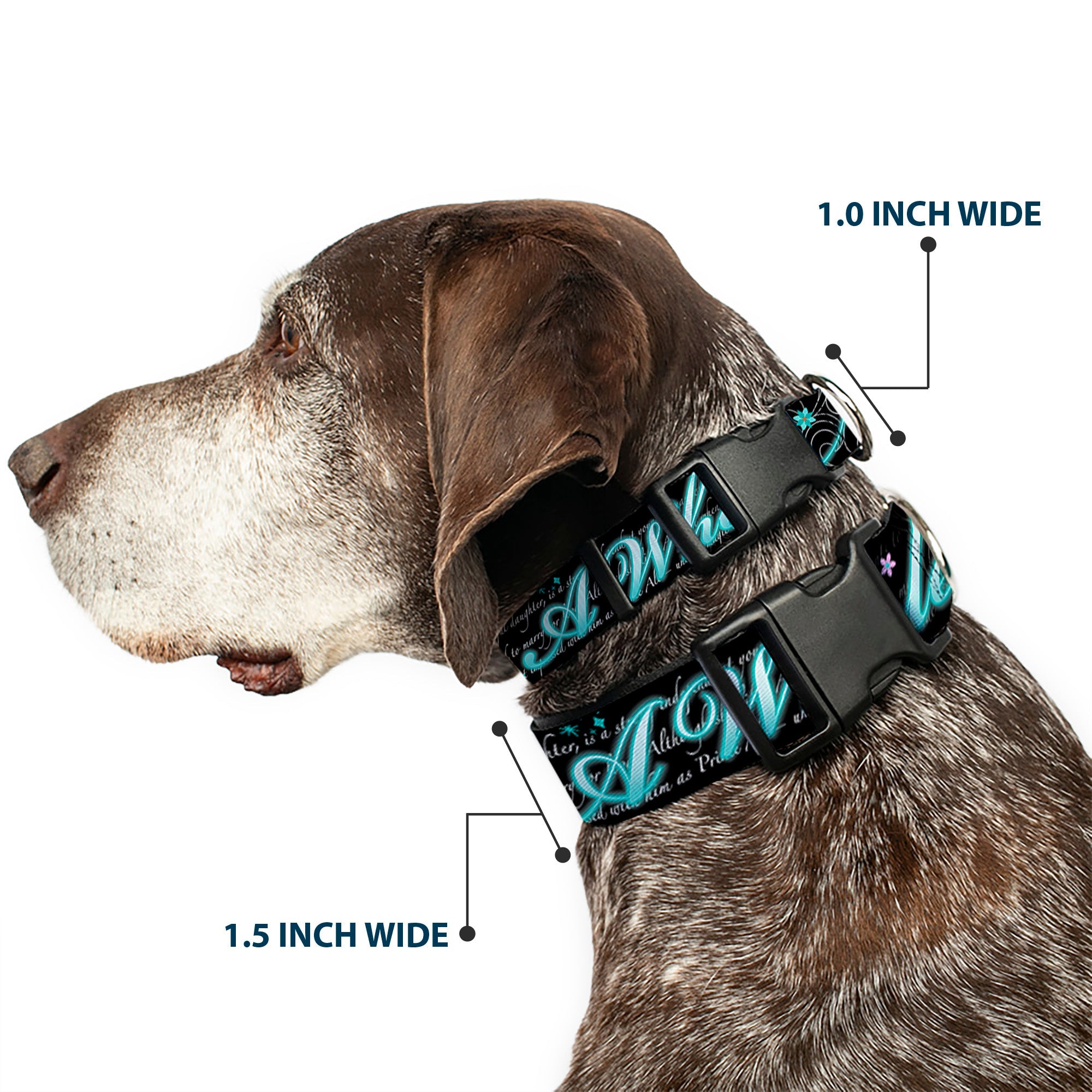 Plastic Clip Collar - Aladdin A WHOLE NEW WORLD/Story Script