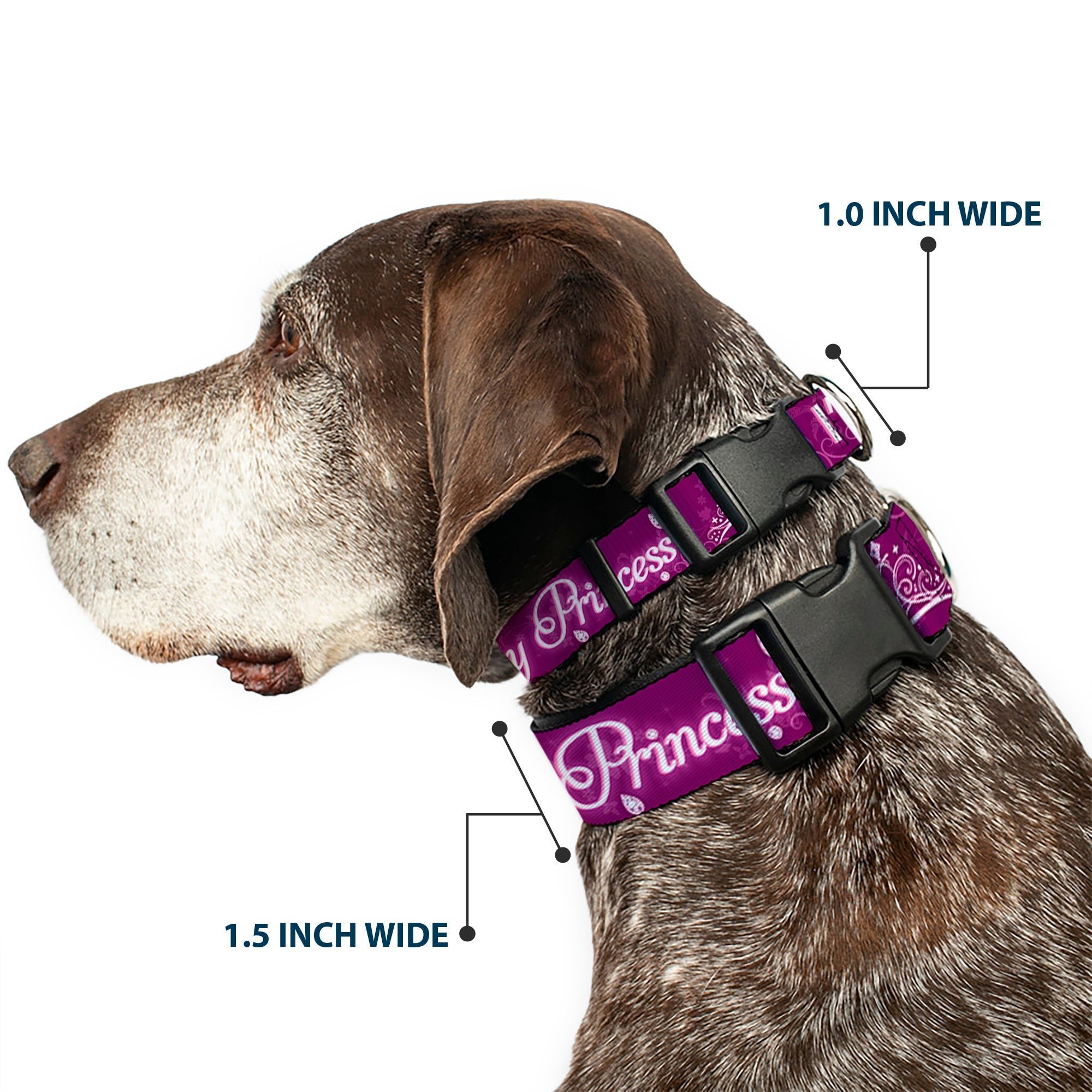 Plastic Clip Collar - IM 99.9% SURE IM A DISNEY PRINCESS Pinks/White