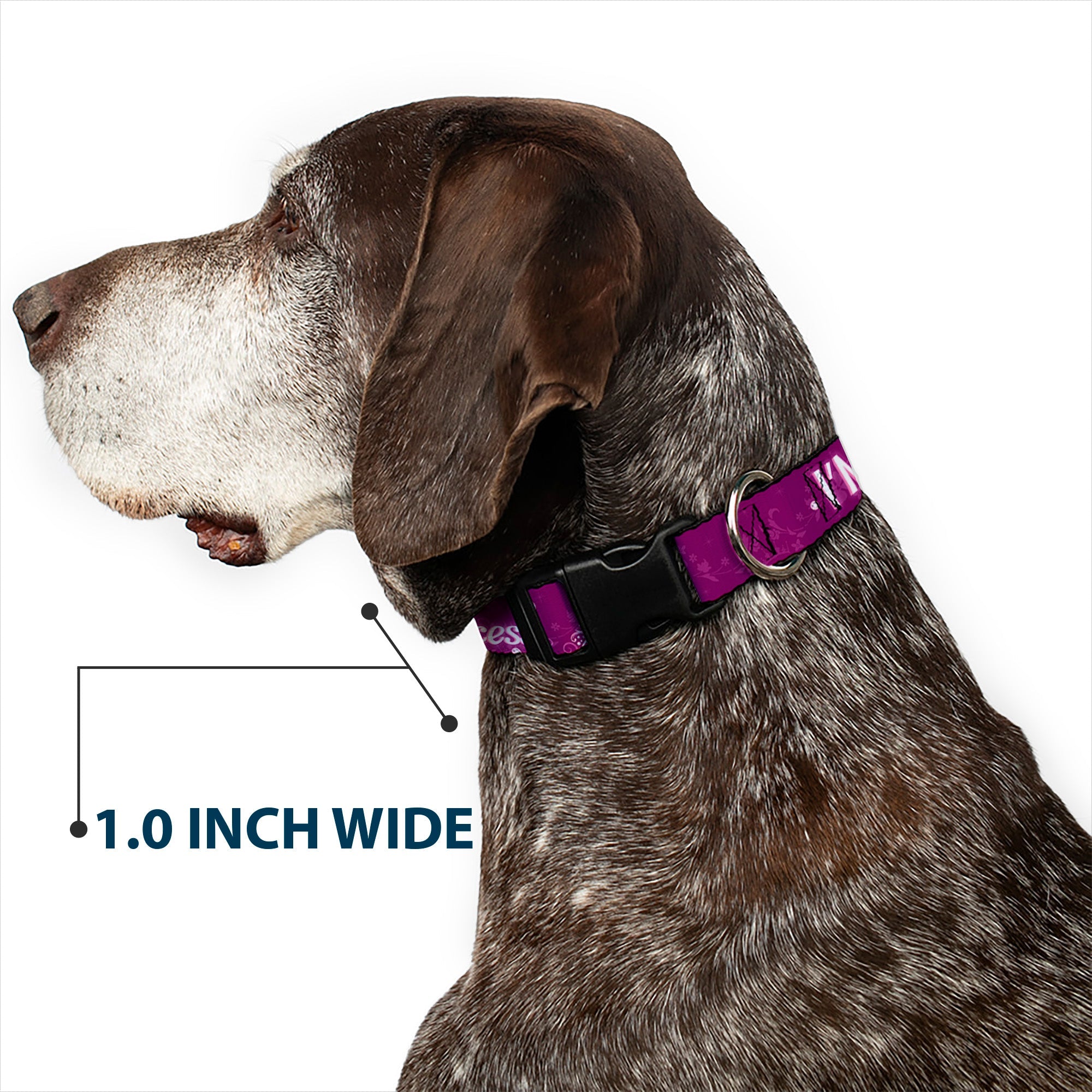 Plastic Clip Collar - IM 99.9% SURE IM A DISNEY PRINCESS Pinks/White