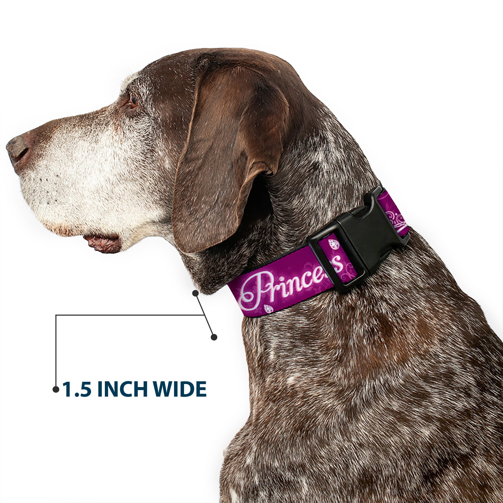 Plastic Clip Collar - IM 99.9% SURE IM A DISNEY PRINCESS Pinks/White