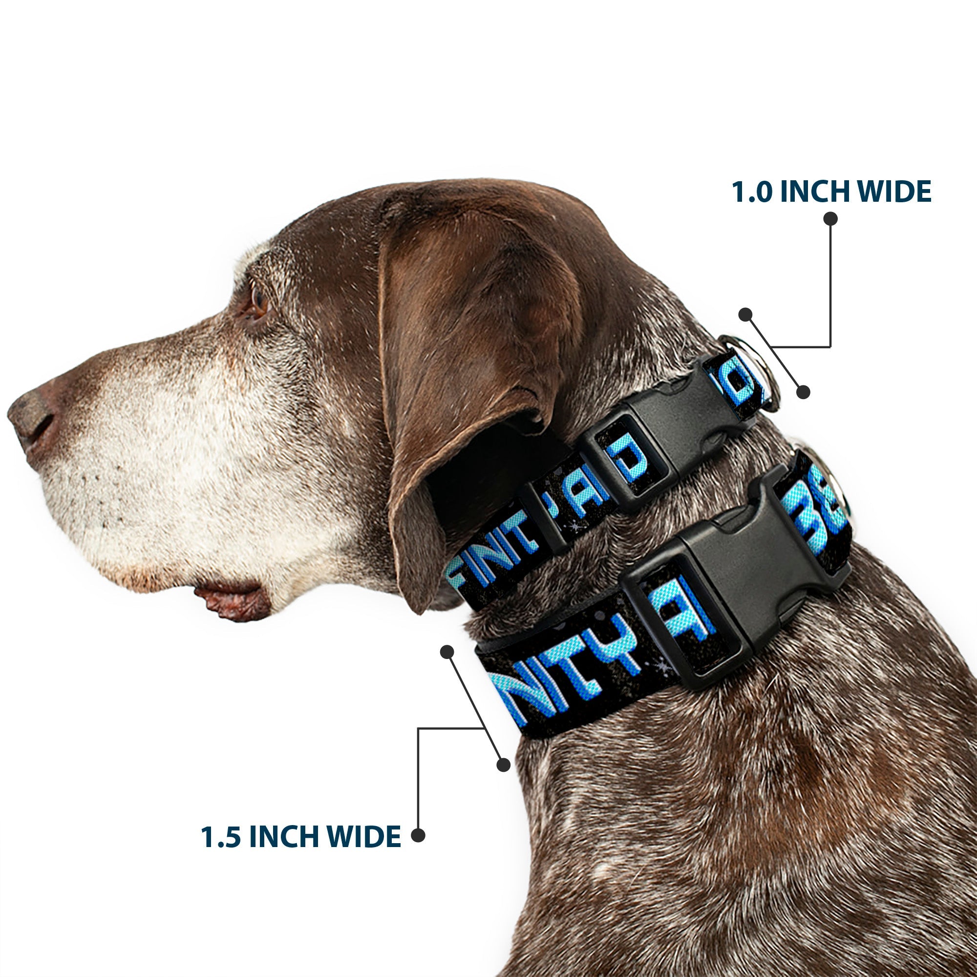 Plastic Clip Collar - Buzz Poses/Stars TO INFINITY AND BEYOND Black/Blues