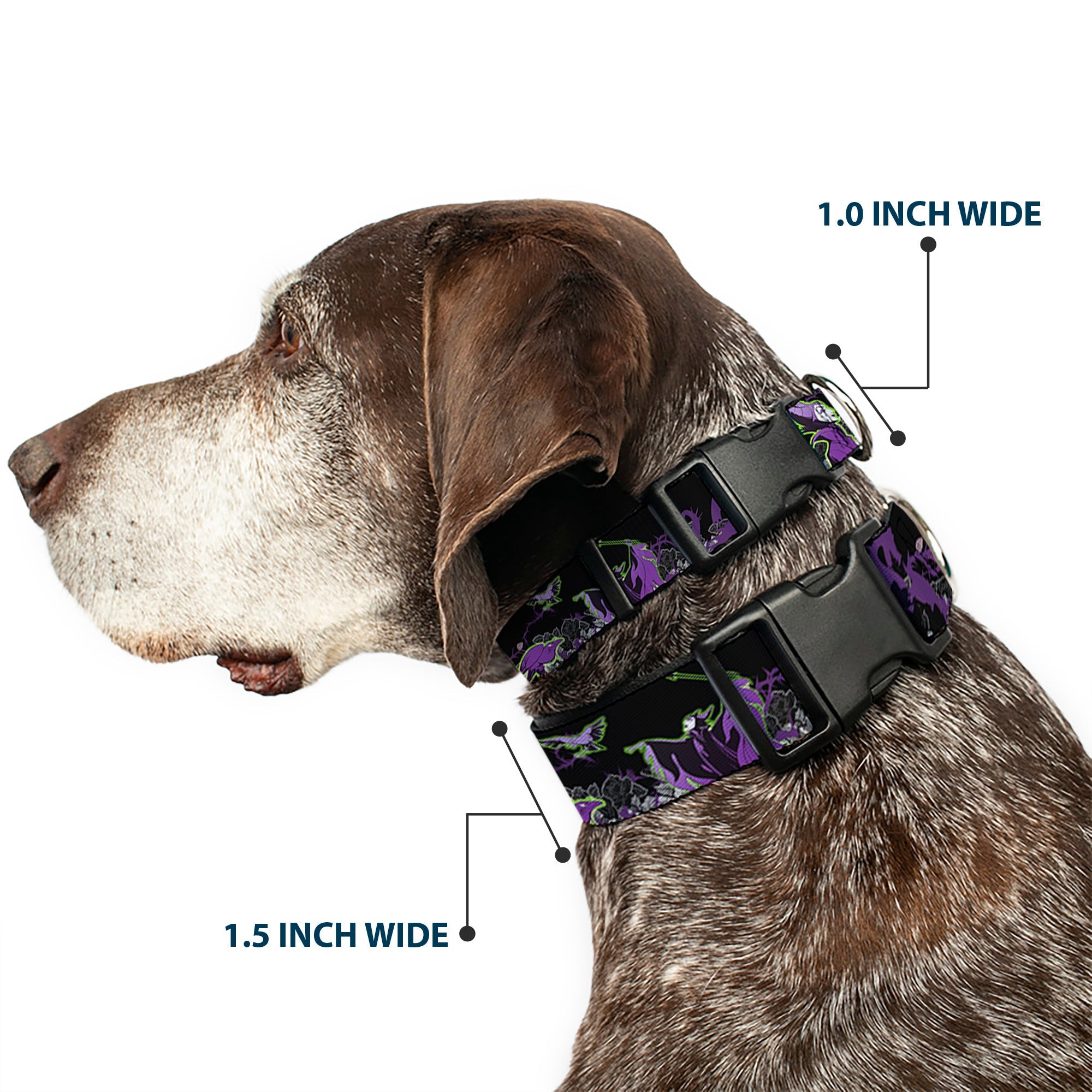 Plastic Clip Collar - Maleficent & Diablo Black Roses/Purples