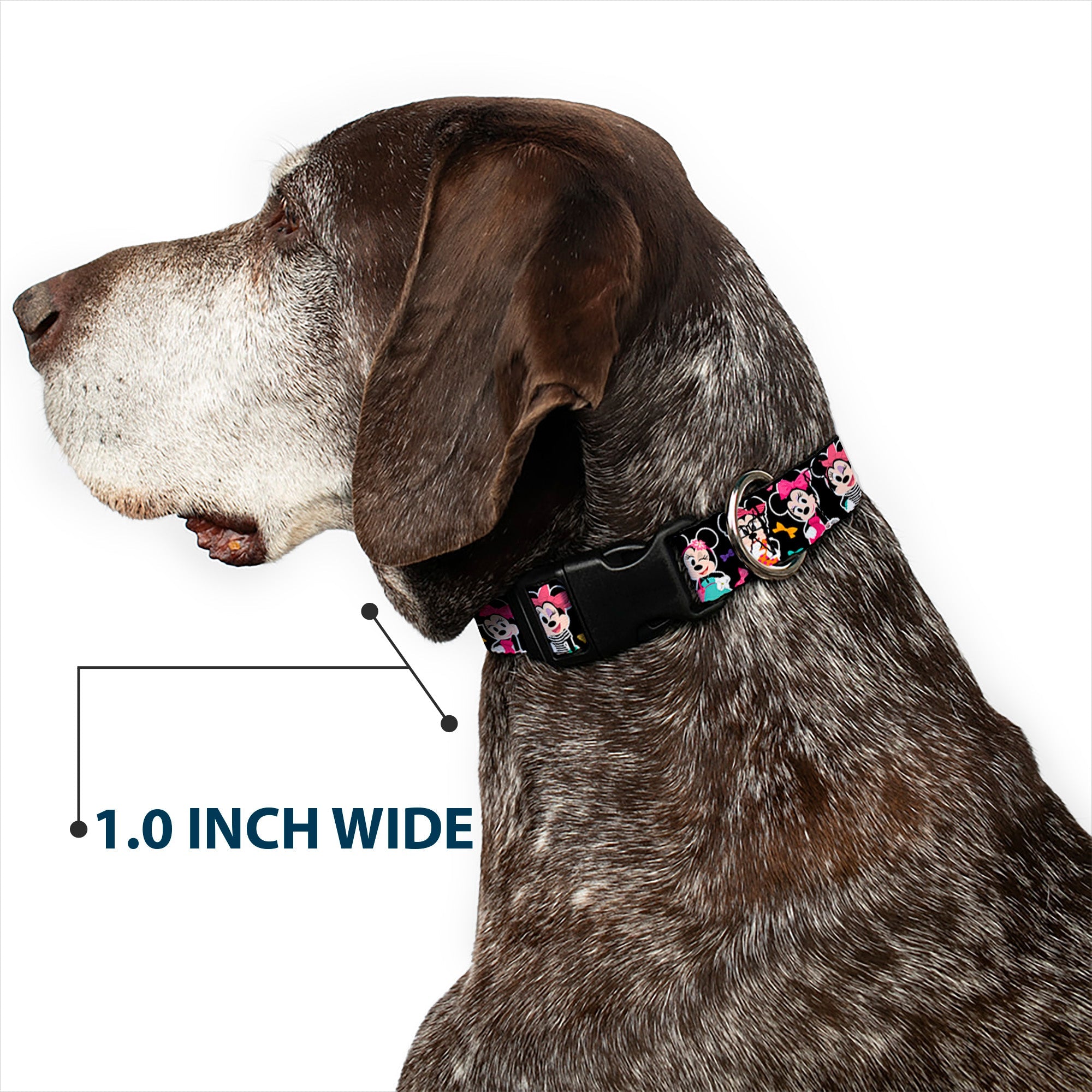 Plastic Clip Collar - Mini Minnie Expressions/Bows Black/Multi Color