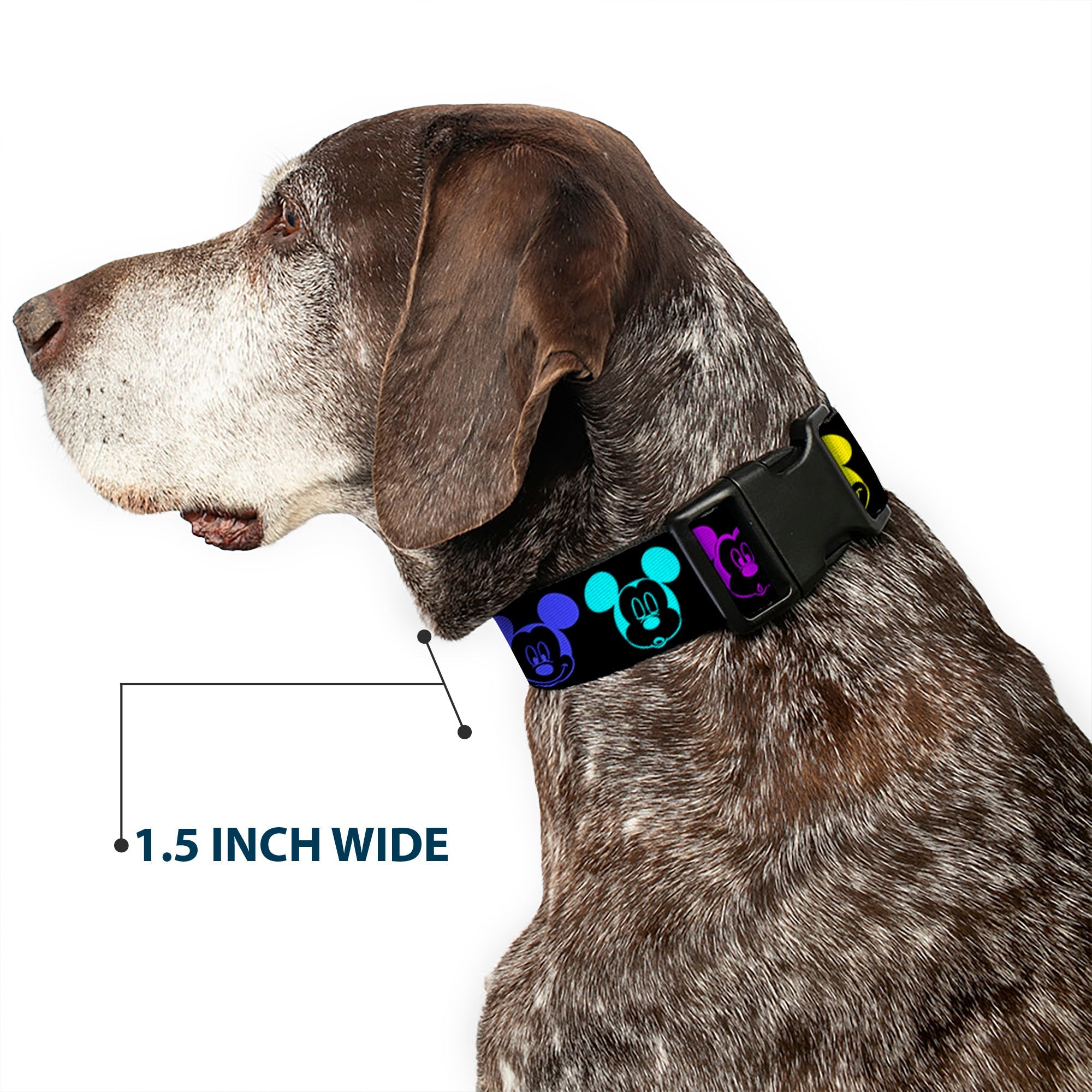 Plastic Clip Collar - Mickey Expressions Black/Multi Neon