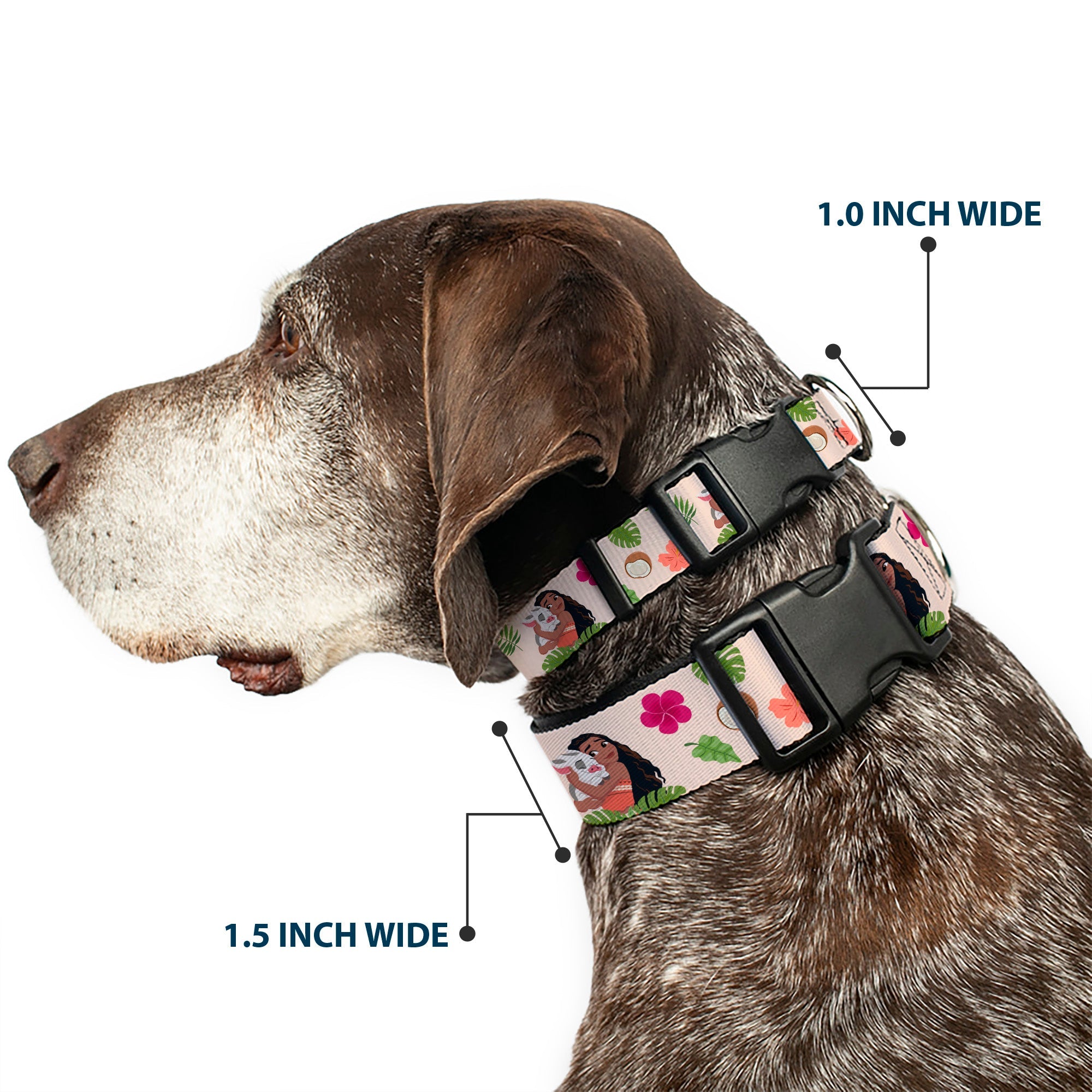 Plastic Clip Collar - Moana Hugging Pua Pose and Tropical Flora Beige