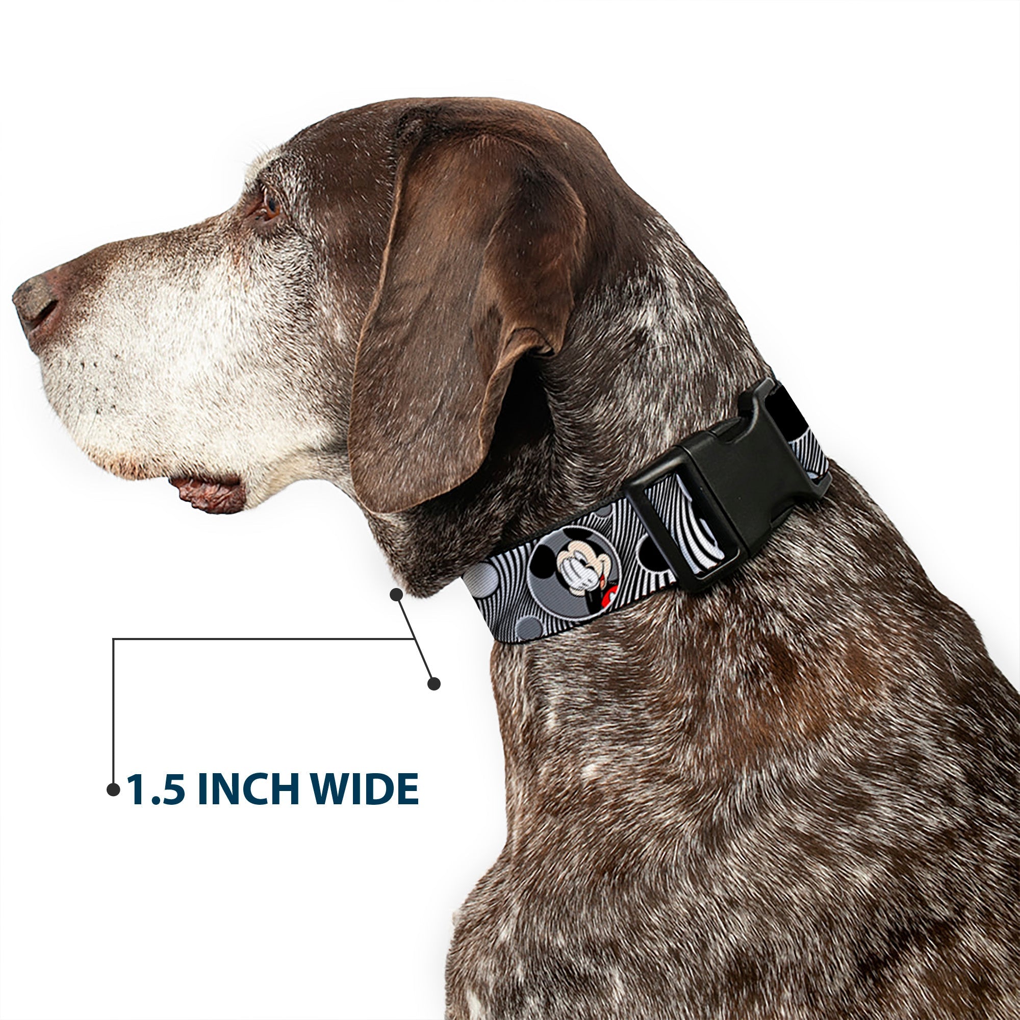 Plastic Clip Collar - Mickey & Minnie Peek-a-Boo Expressions Swirl Black/White